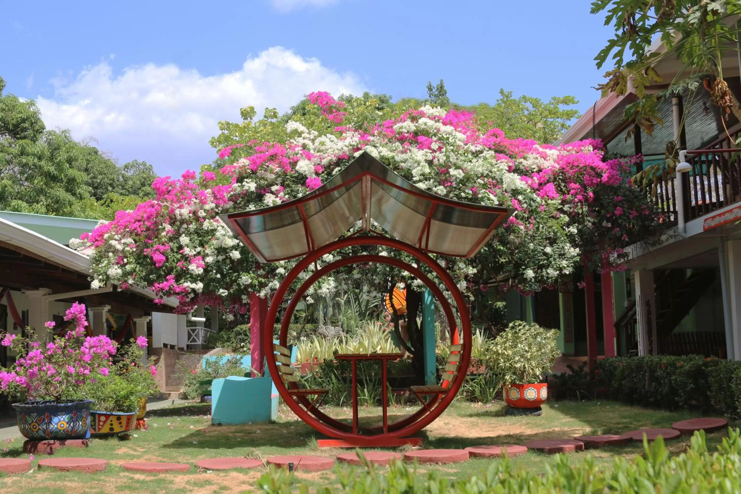 Garden in Hotel Marielos