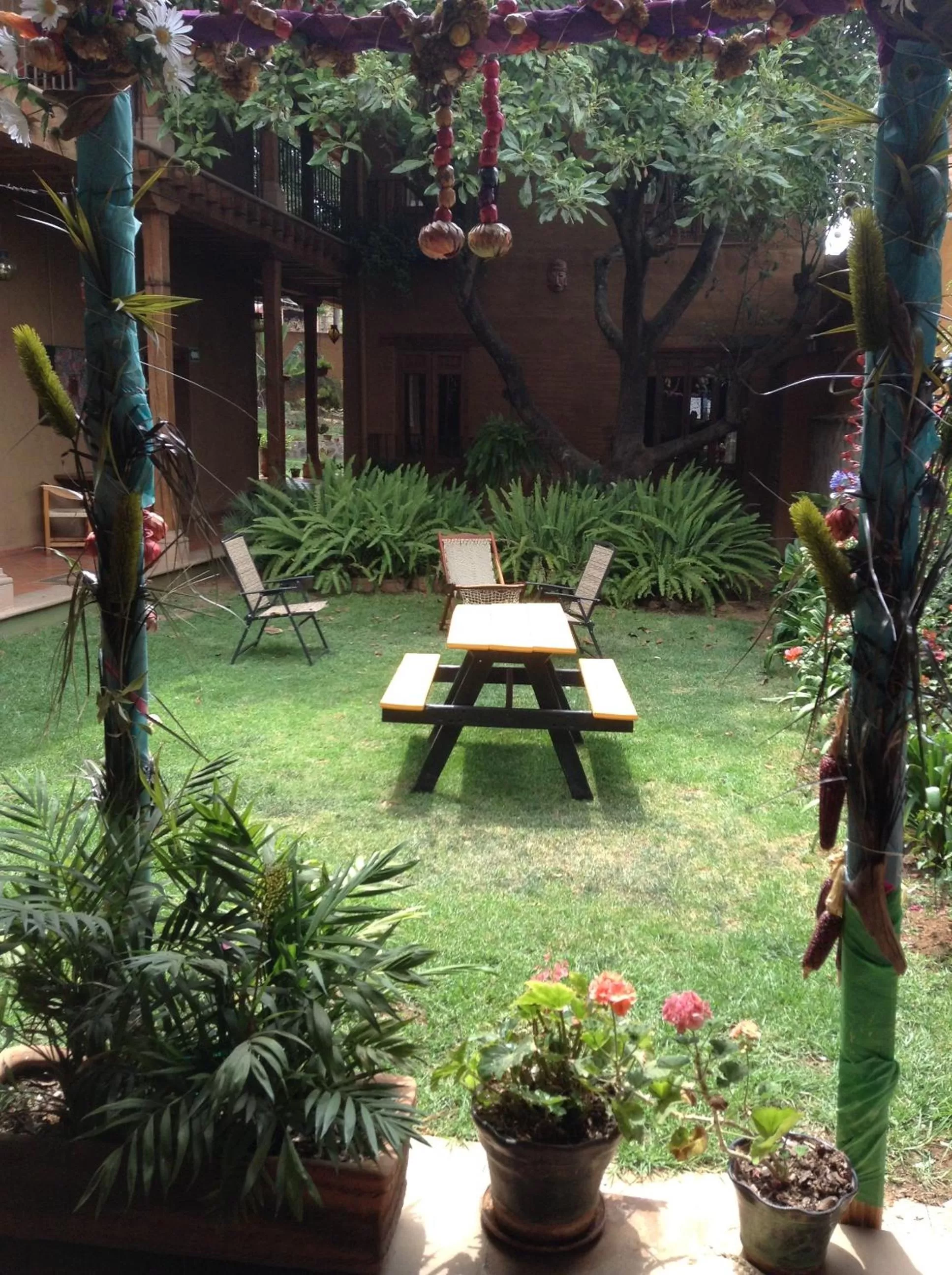 Garden in Posada Yolihuani