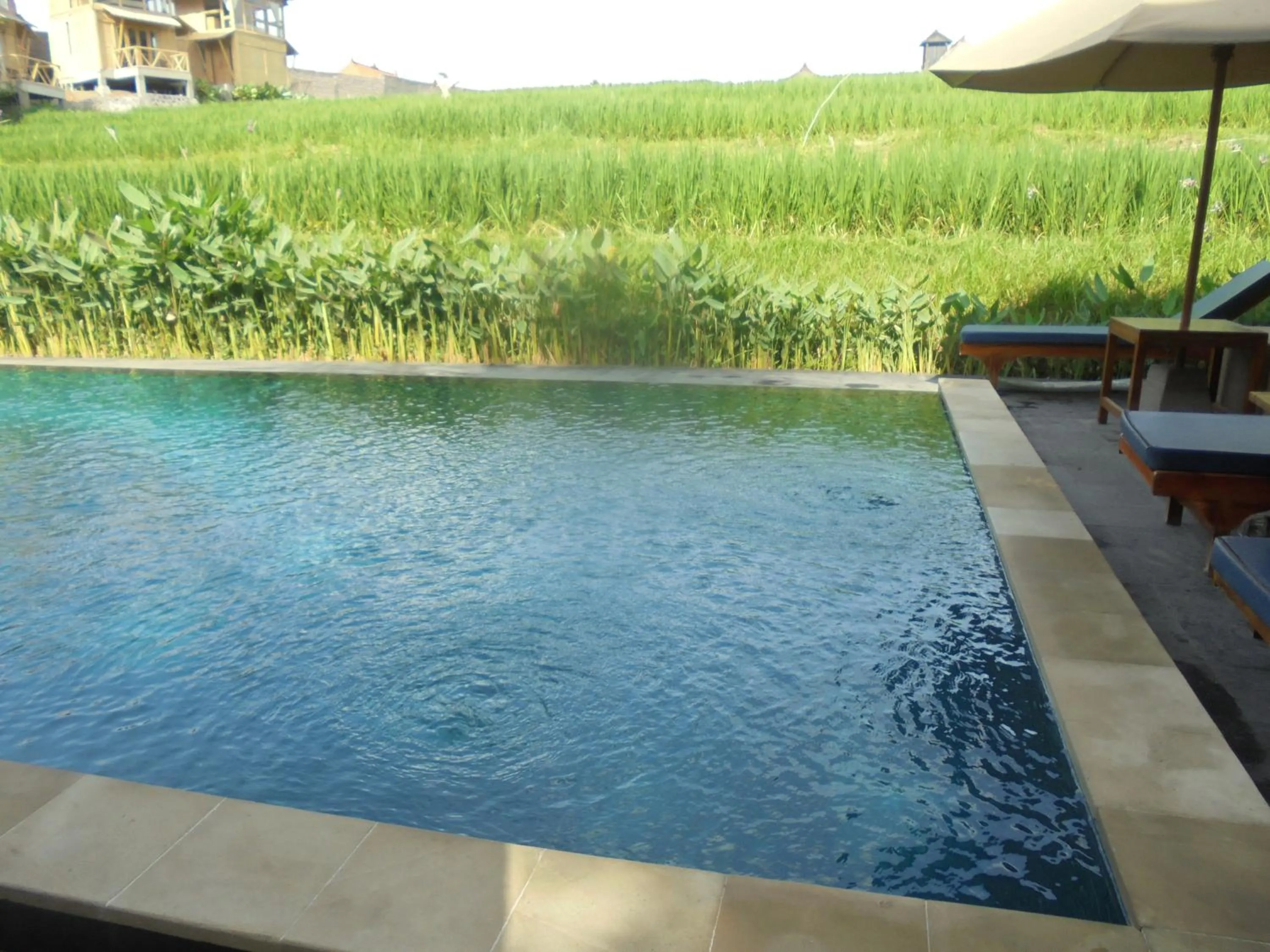 Natural landscape in Biyukukung Suite & Spa