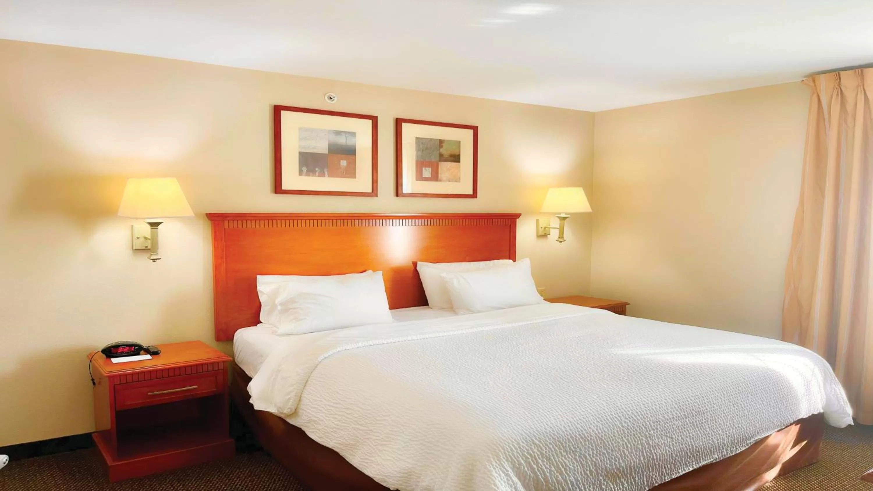 One-Bedroom King Suite with Roll-In Shower - Disability Access in Candlewood Suites San Antonio NW Near SeaWorld, an IHG Hotel