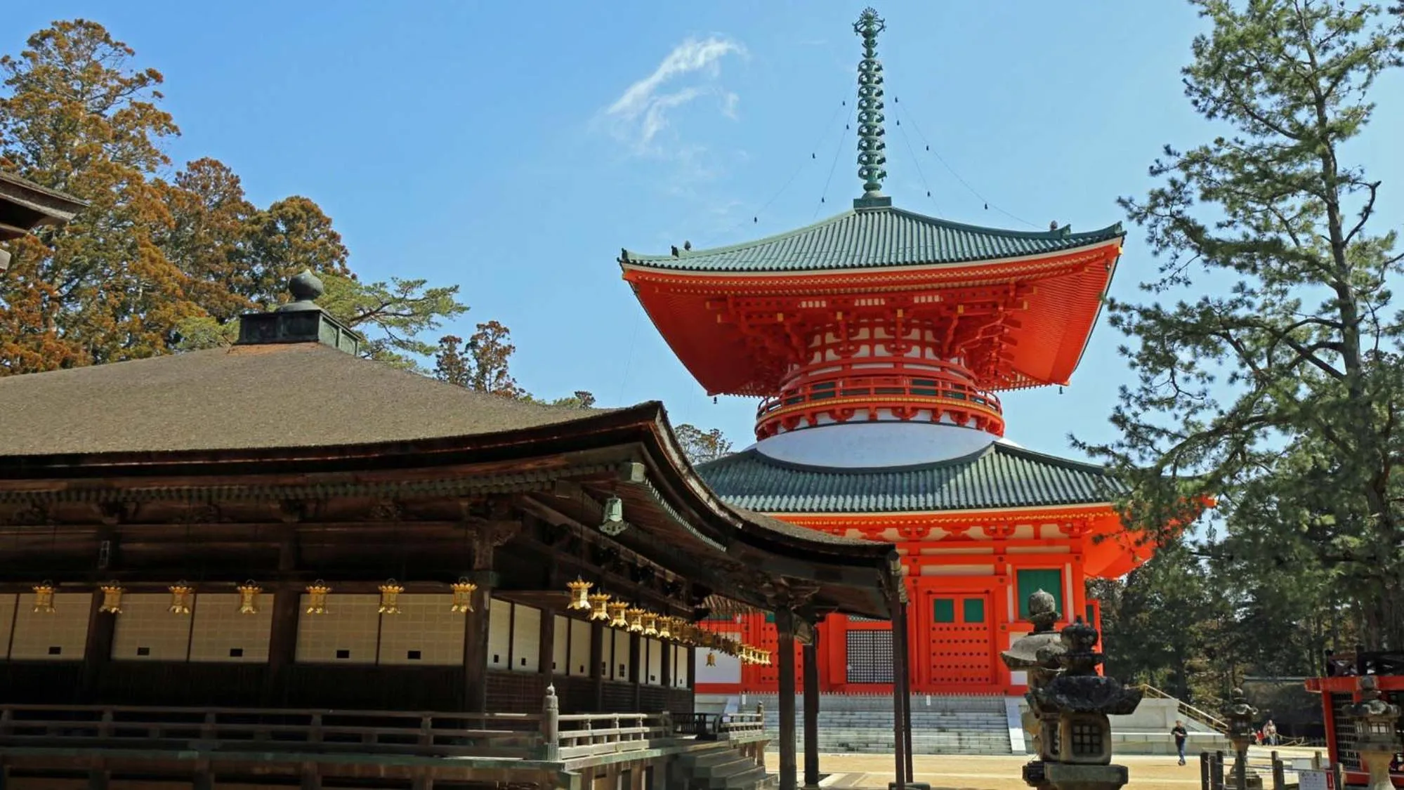 Nearby landmark in Toyoko Inn JR Wakayama eki Higashi guchi