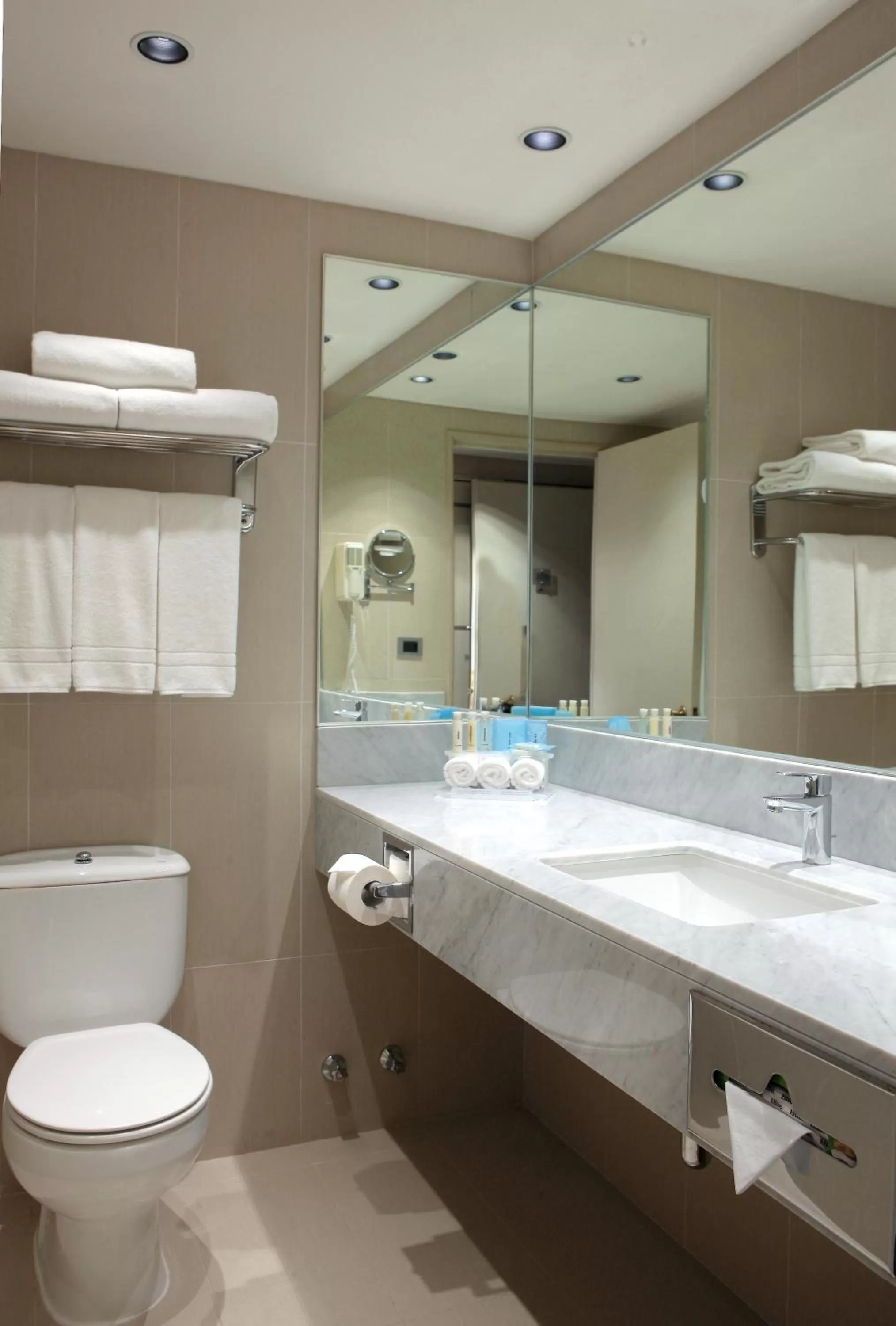 Holiday Inn Express - Temuco by IHG