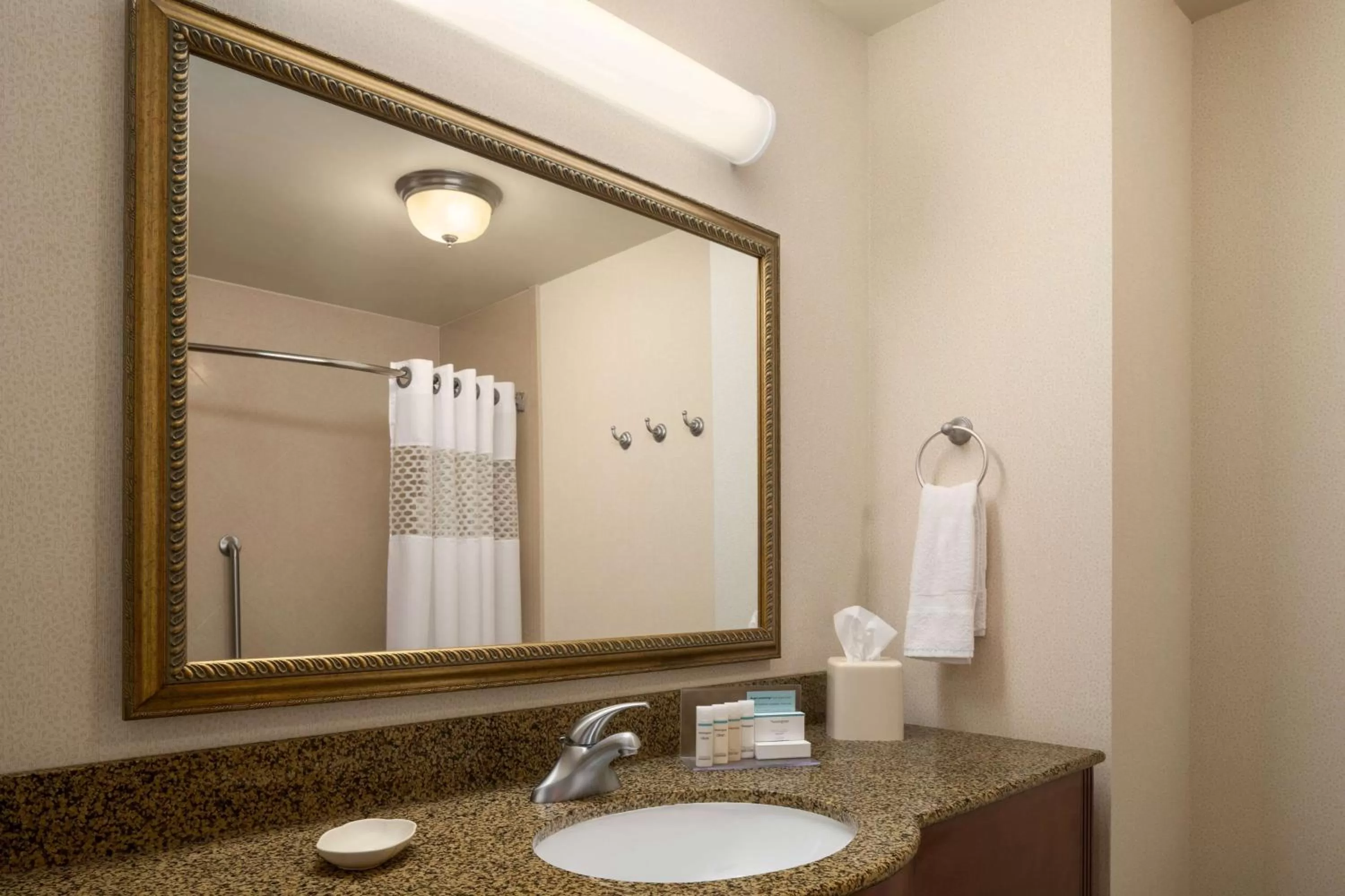 Bathroom in Hampton Inn Belle Vernon