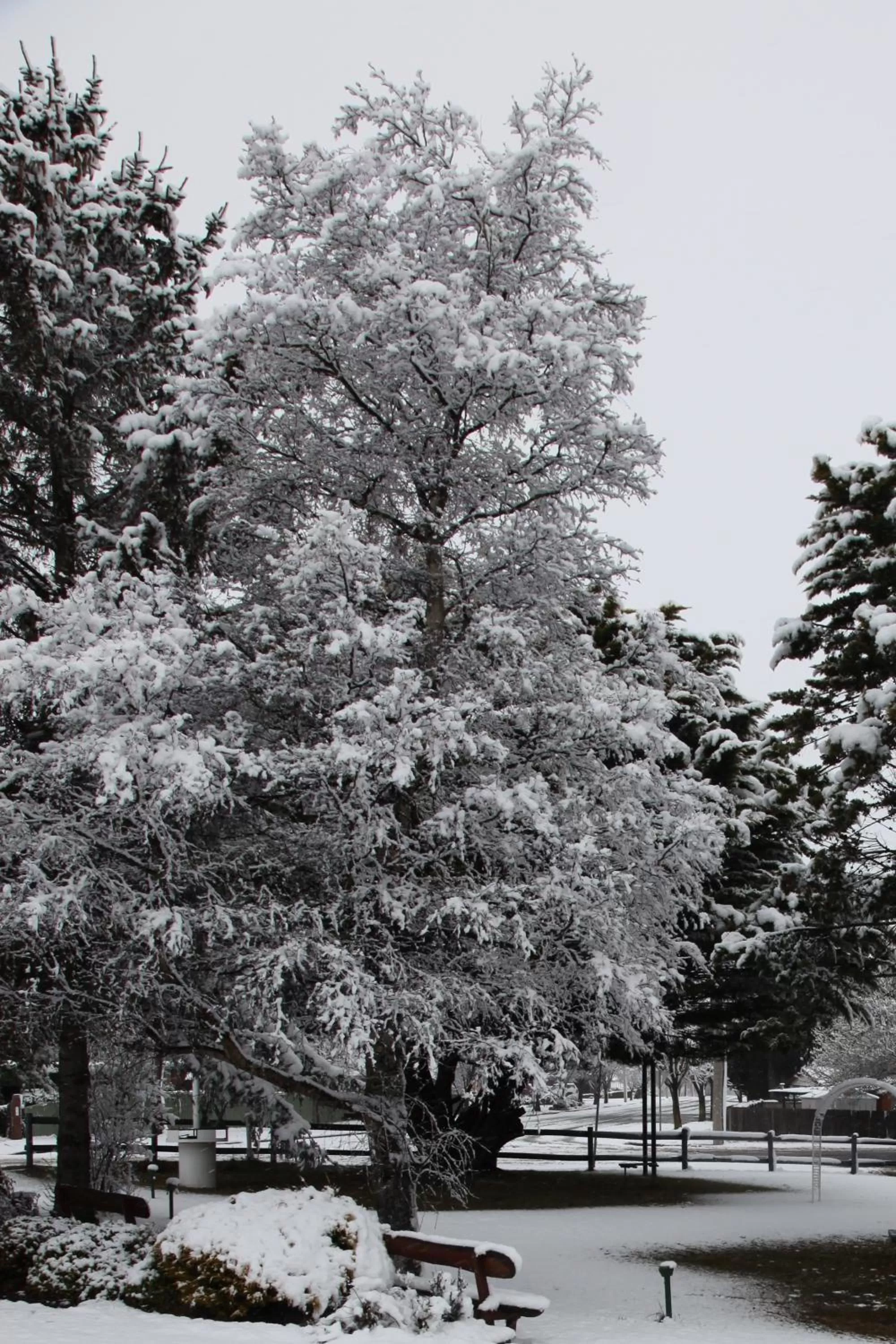 Winter in Titania Motel