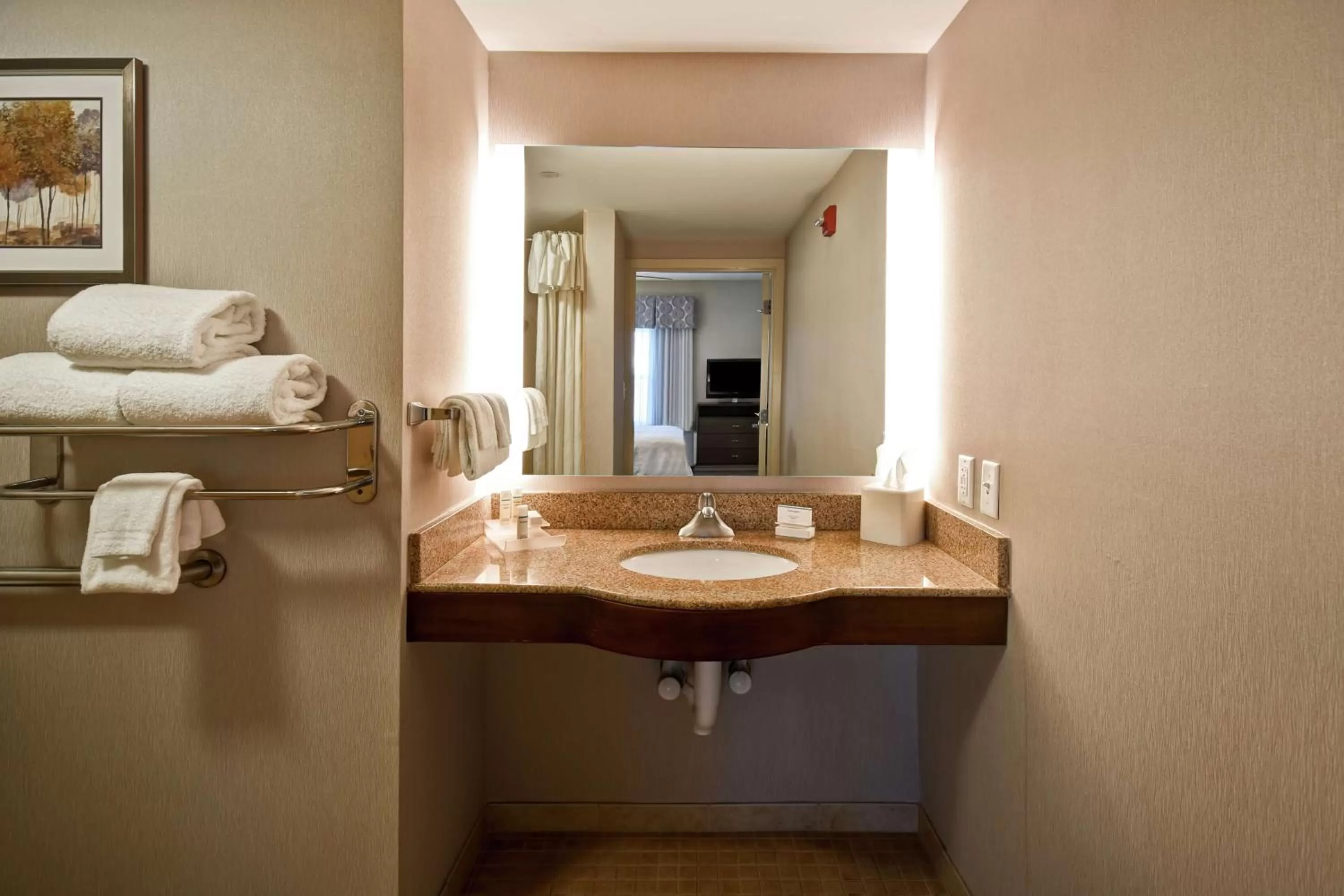 Bathroom in Homewood Suites by Hilton Dover