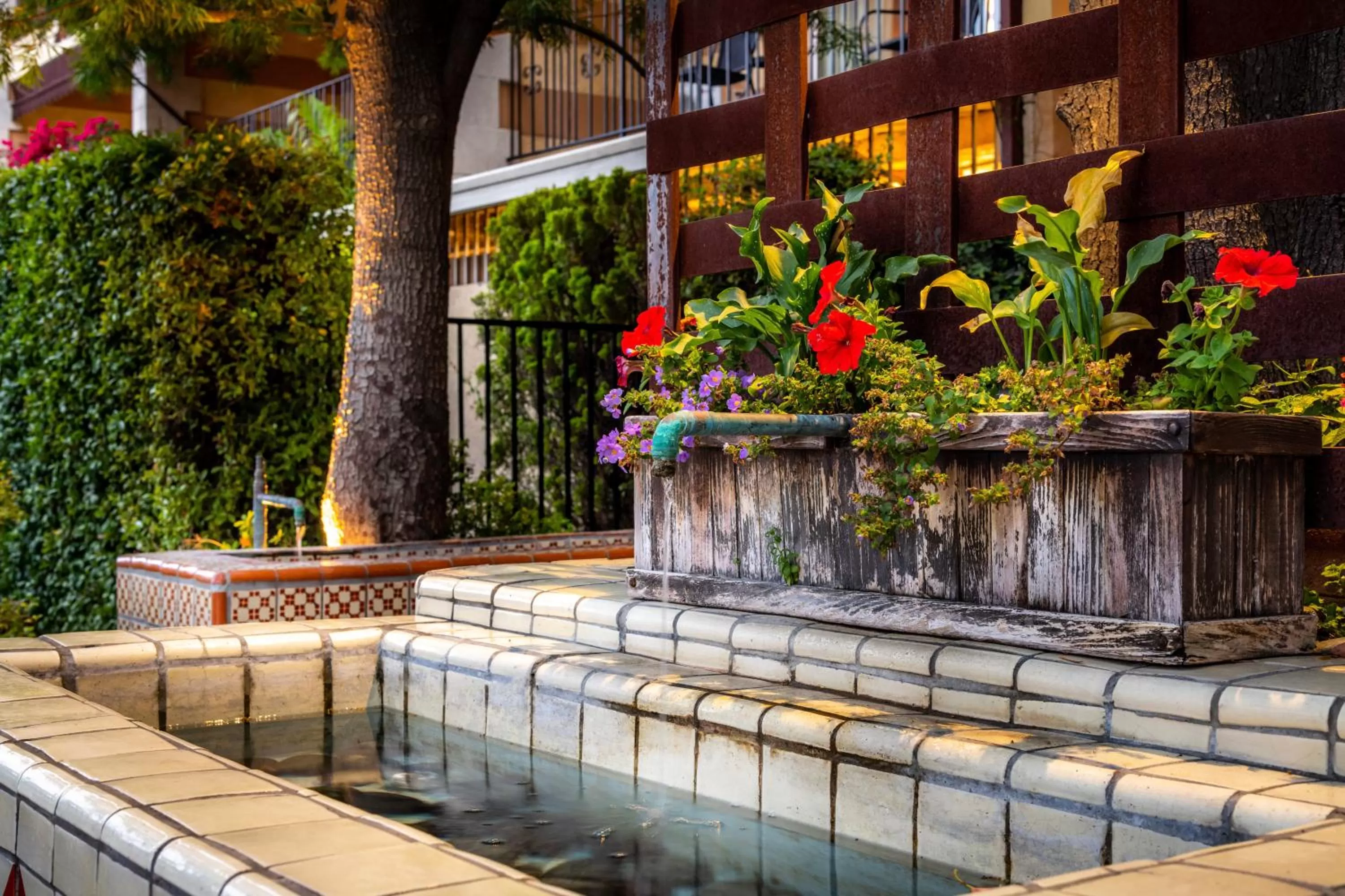 Garden in Hotel Pepper Tree Boutique Kitchen Studios - Anaheim