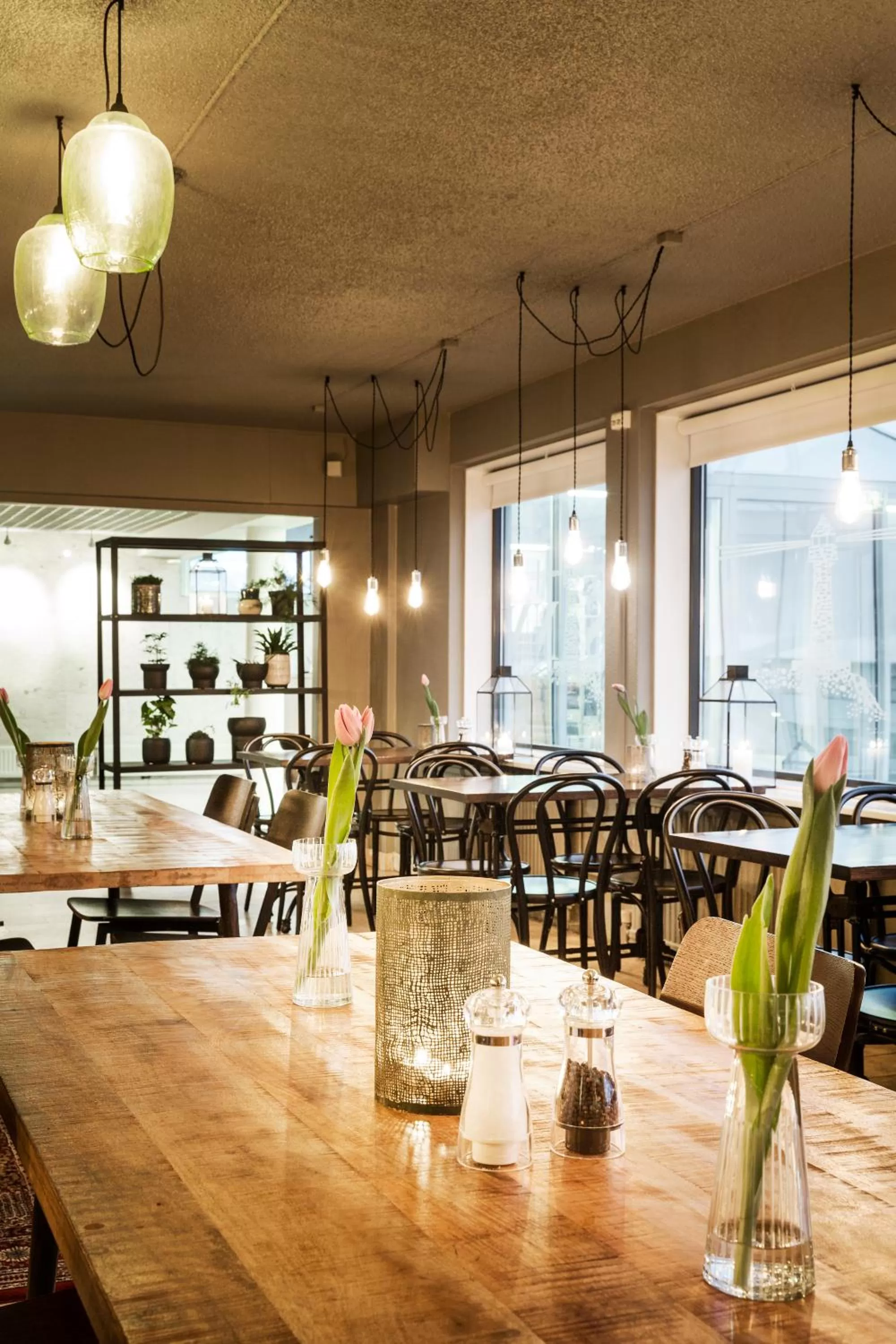 Restaurant/places to eat in Hotel Höfn