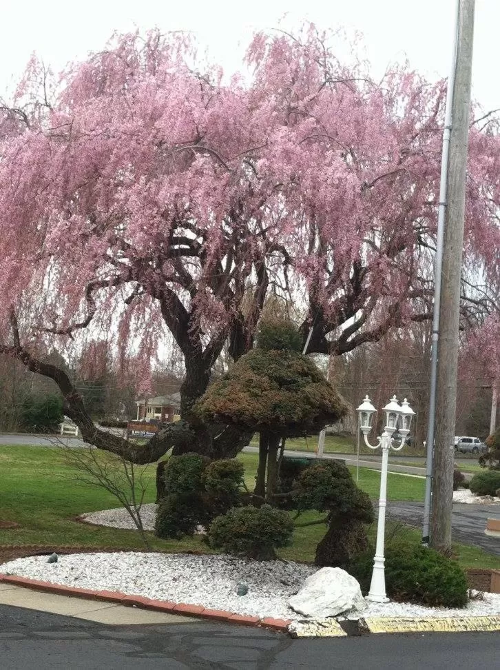 Natural landscape in Cheshire Welcome Inn