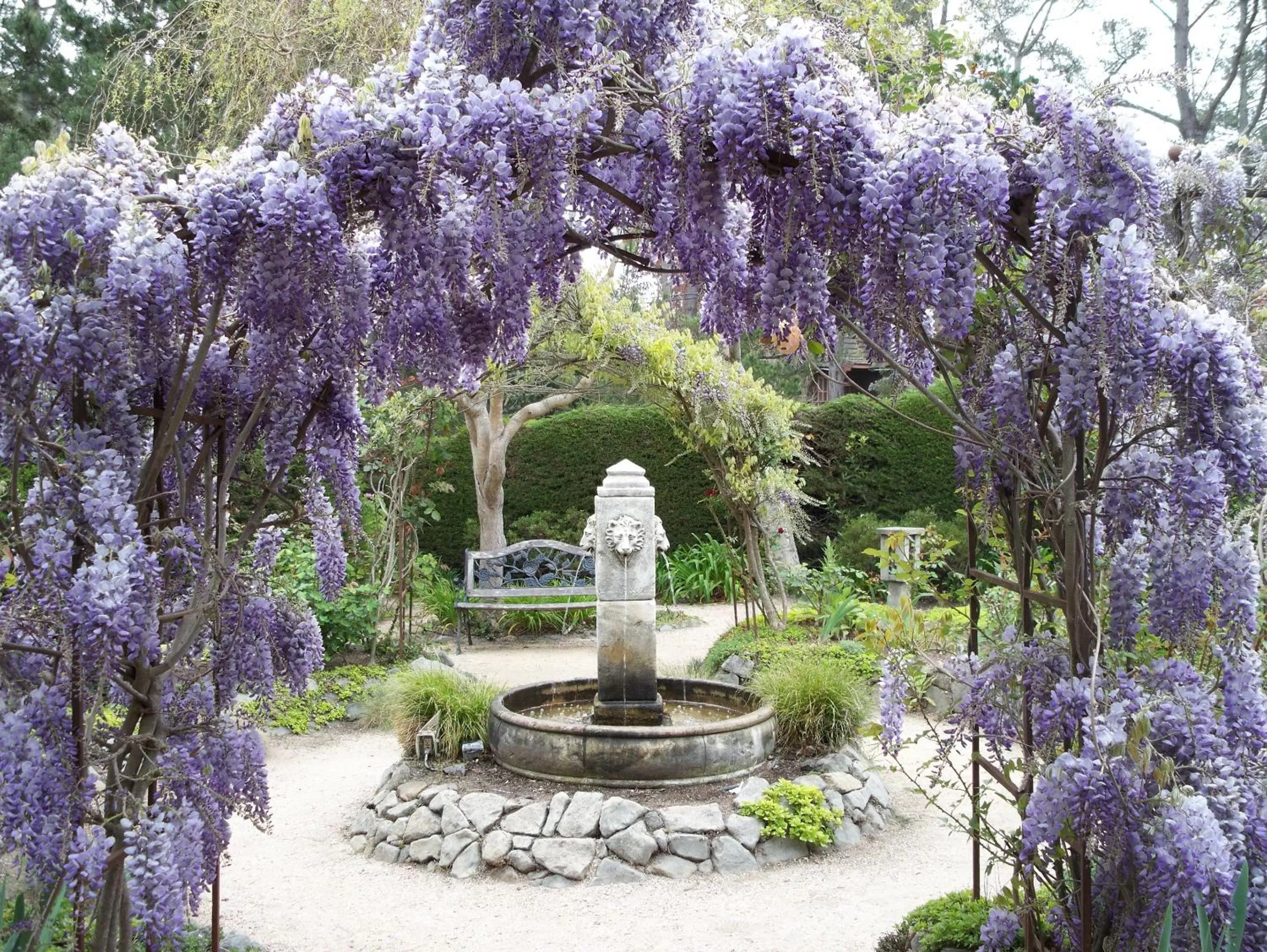 Spring in Cambria Pines Lodge