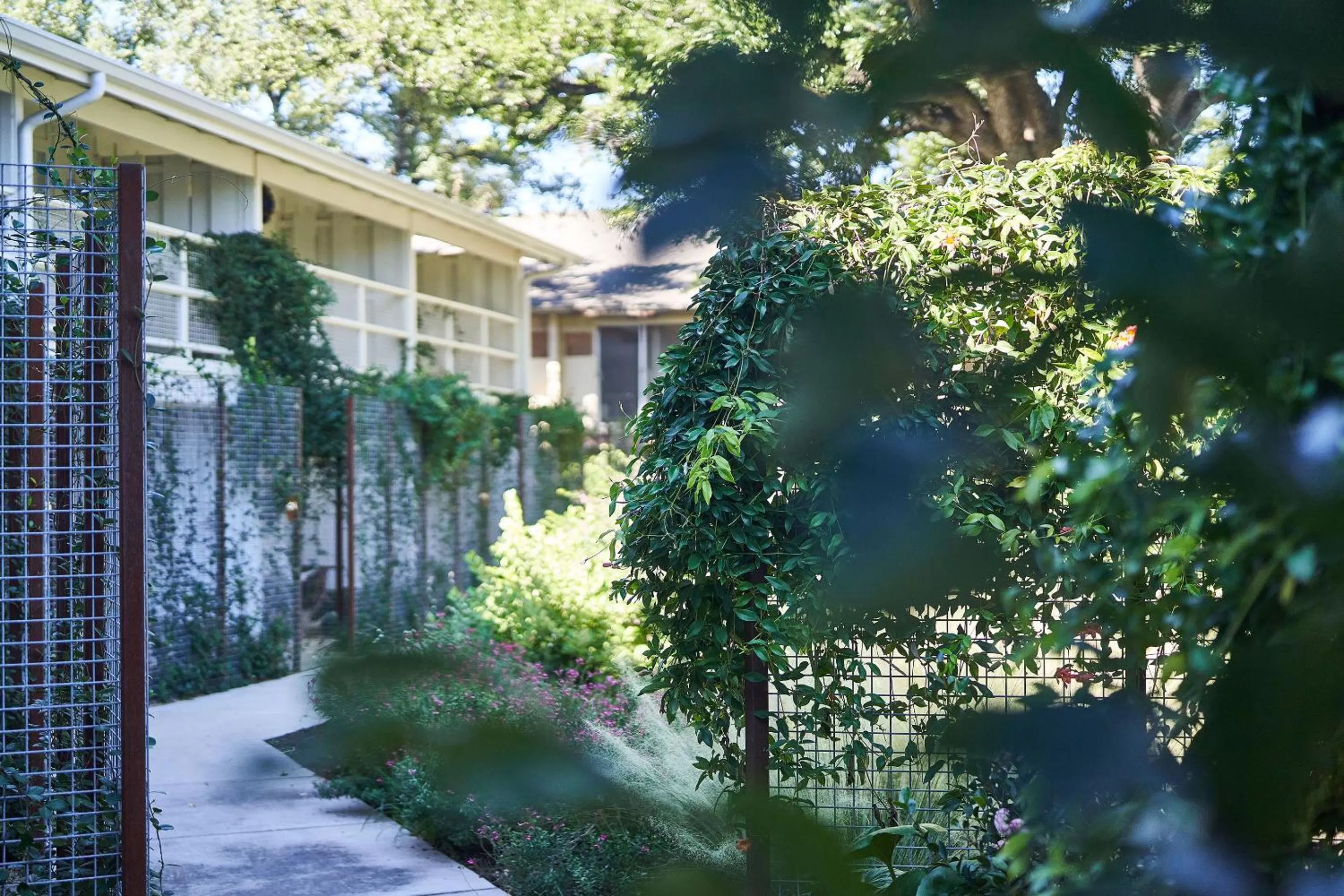 Property building in Shady Villa Hotel