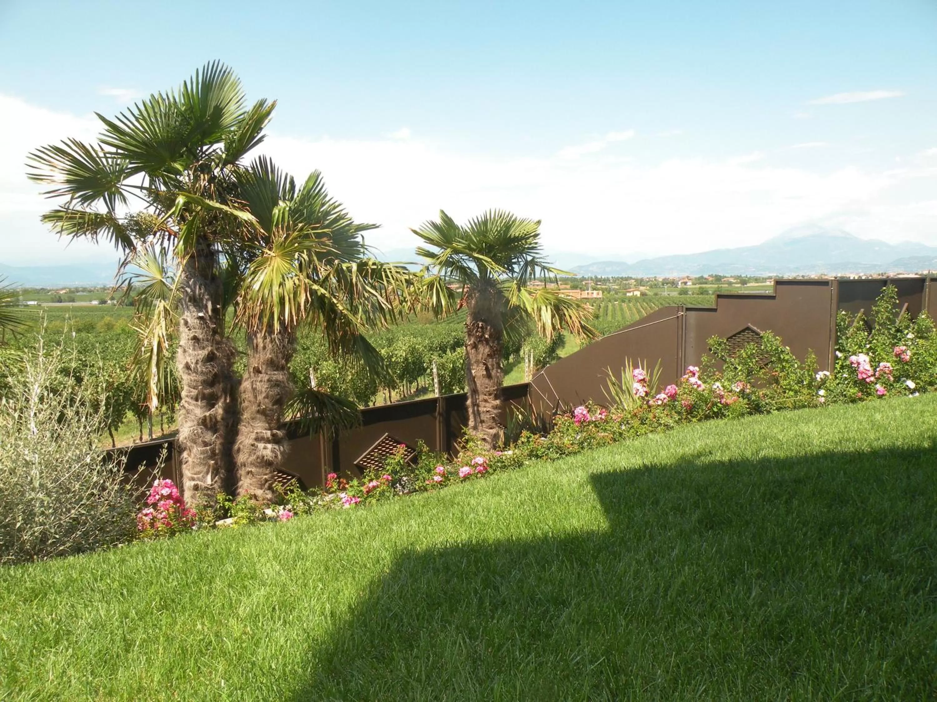 Natural landscape, Garden in Sweet Life