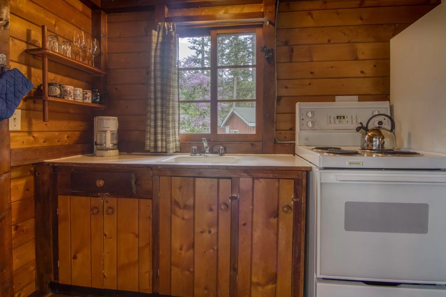Kitchen or kitchenette in Timbers Resort