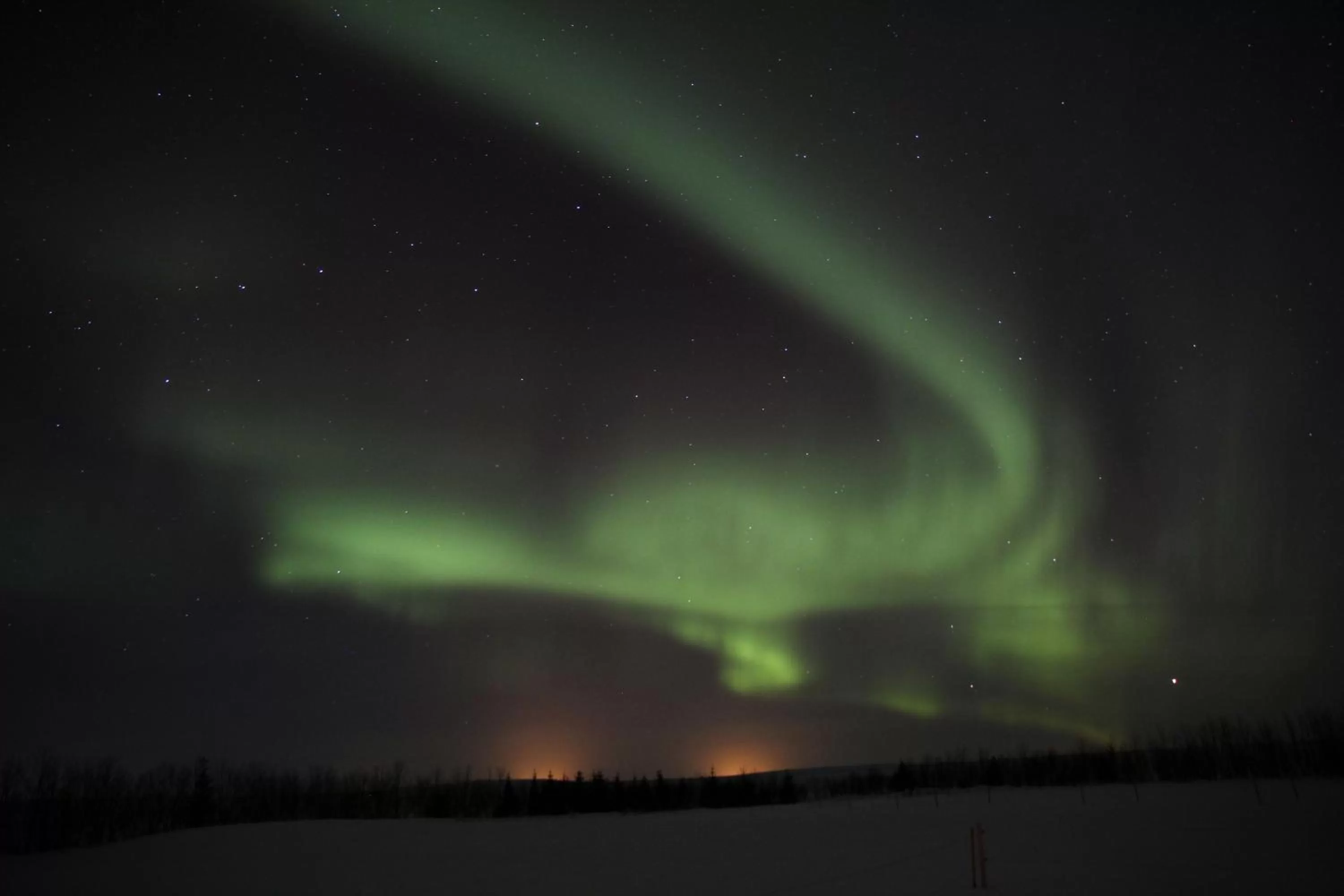 Other in Raven's Bed