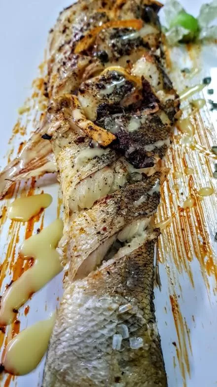 Other Animals in The Old House Family Hotel