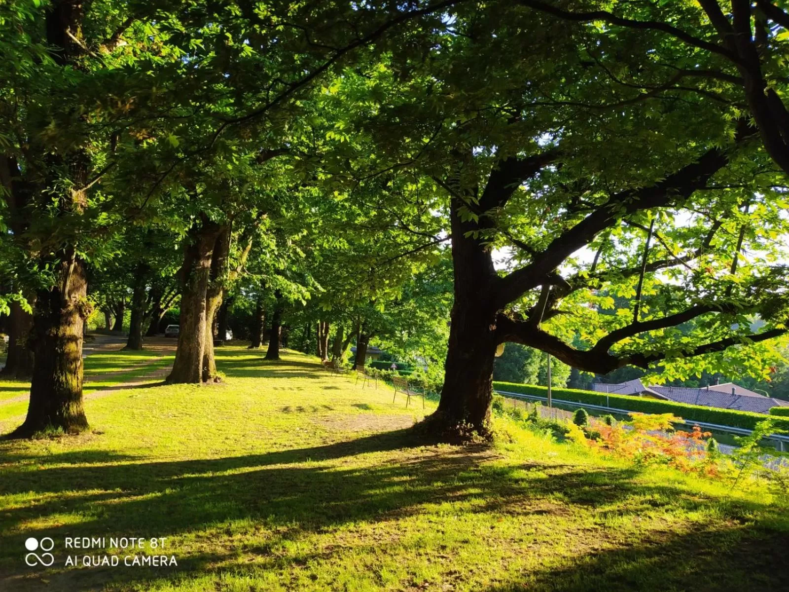 Garden in "La Selvetta" bed and breakfast
