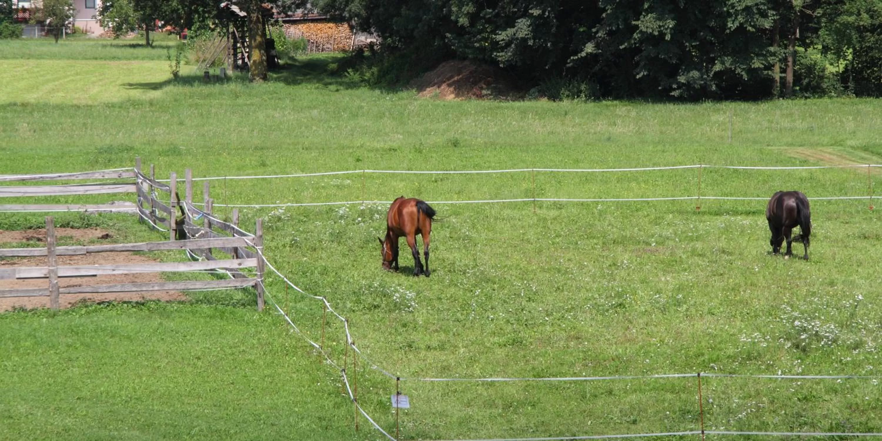 View (from property/room) in Rooms & Apartments Jana