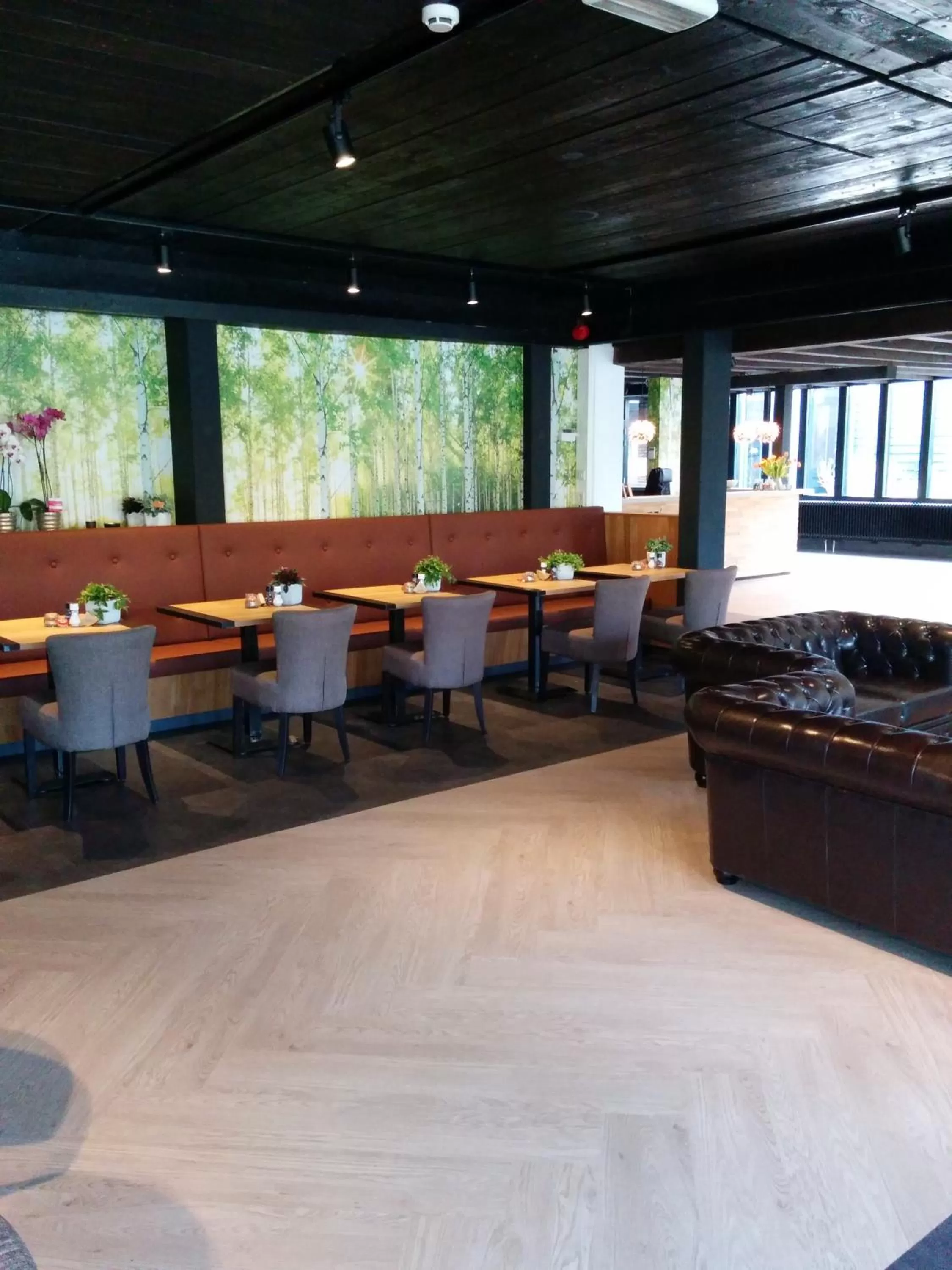 Restaurant/places to eat in Hotel Bieze