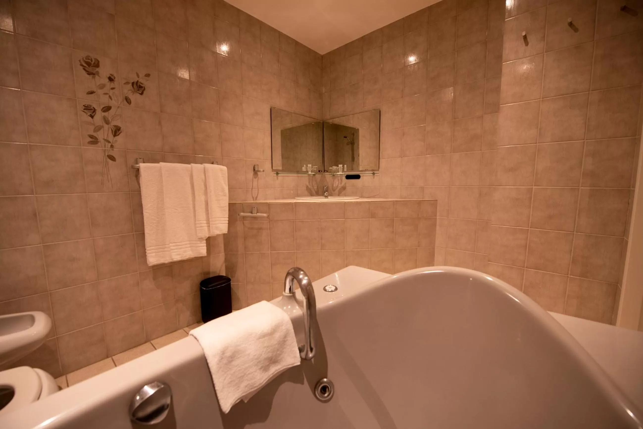 Shower in Hotel Onder De Linden