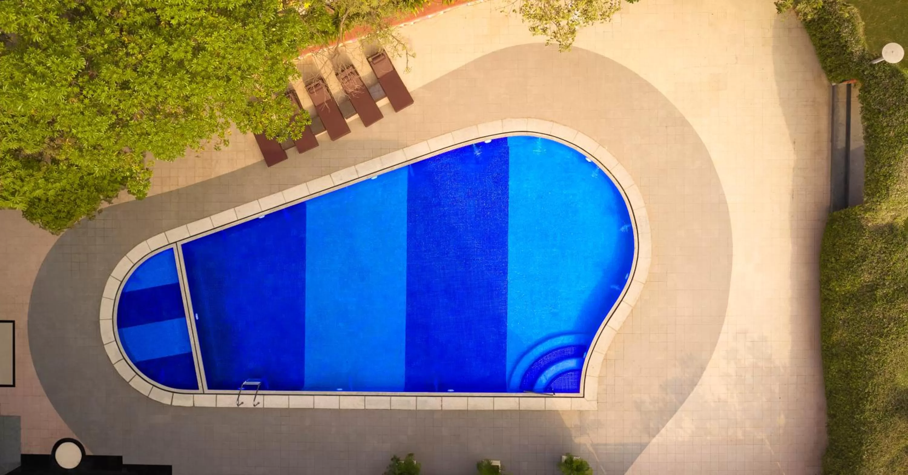 Swimming pool in Vivanta Vadodara