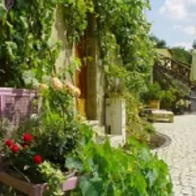 Property Building in Traumparadies