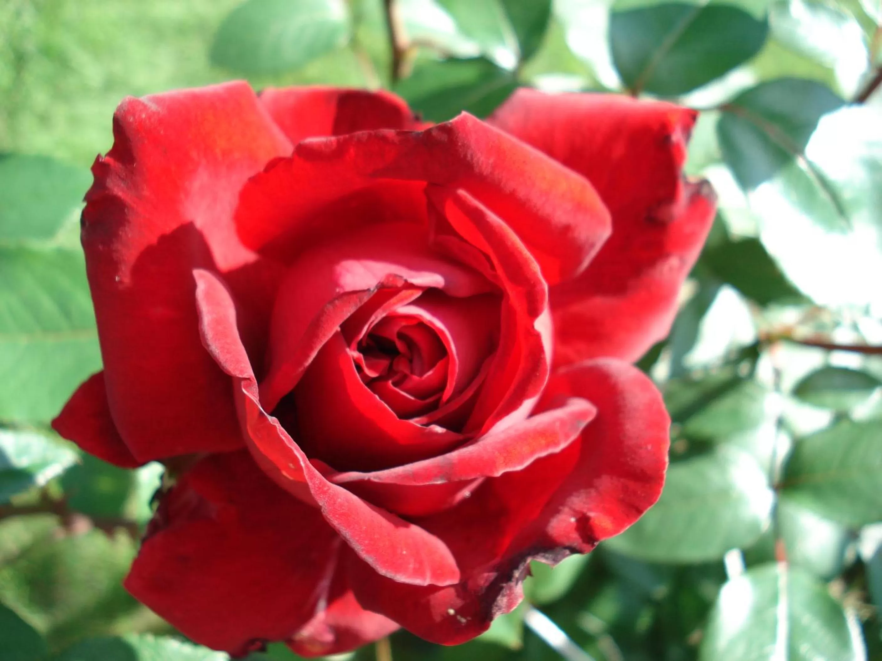 Property building in Guest House Linas