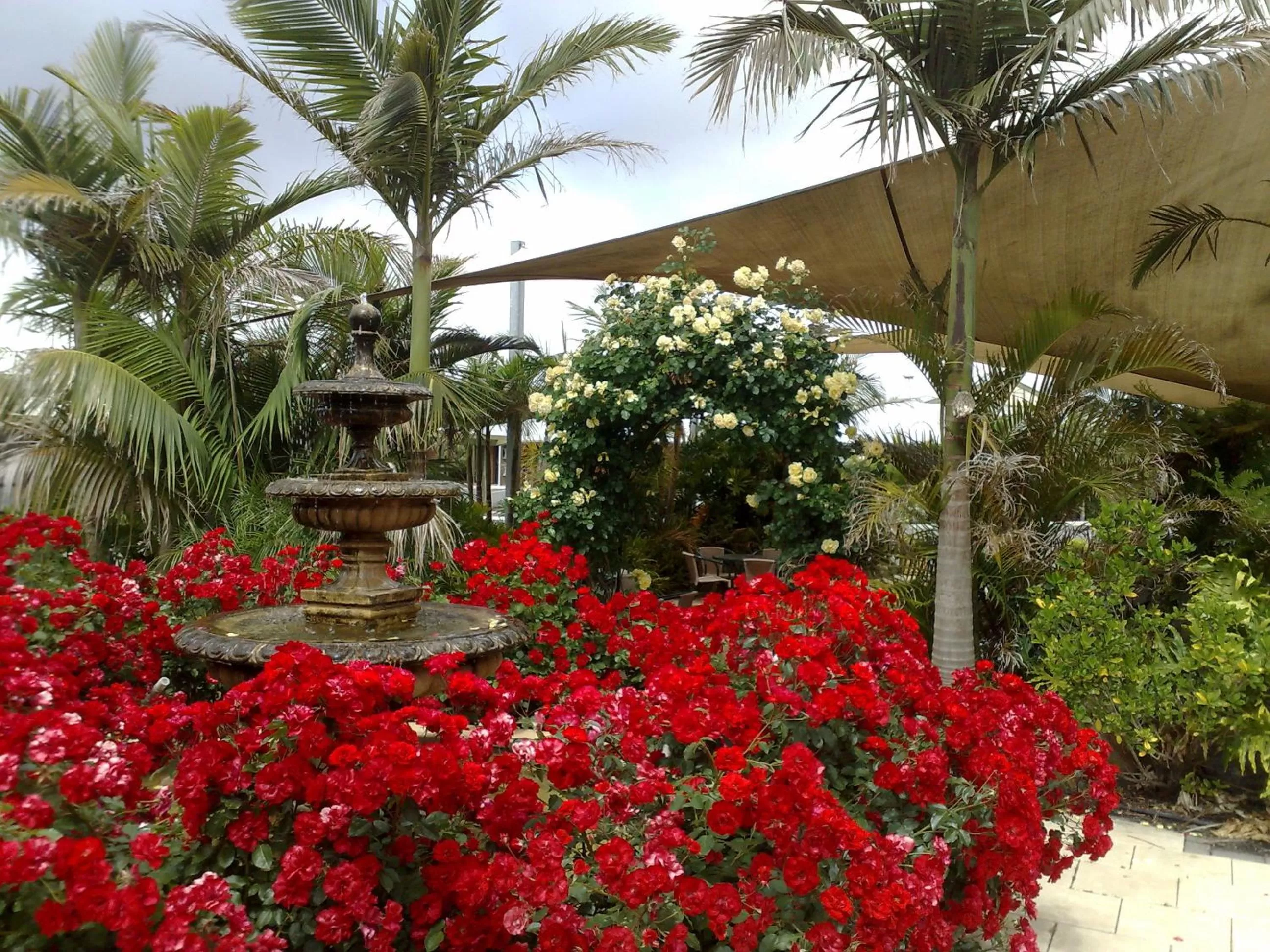 Decorative detail in McLaren Vale Motel & Apartments