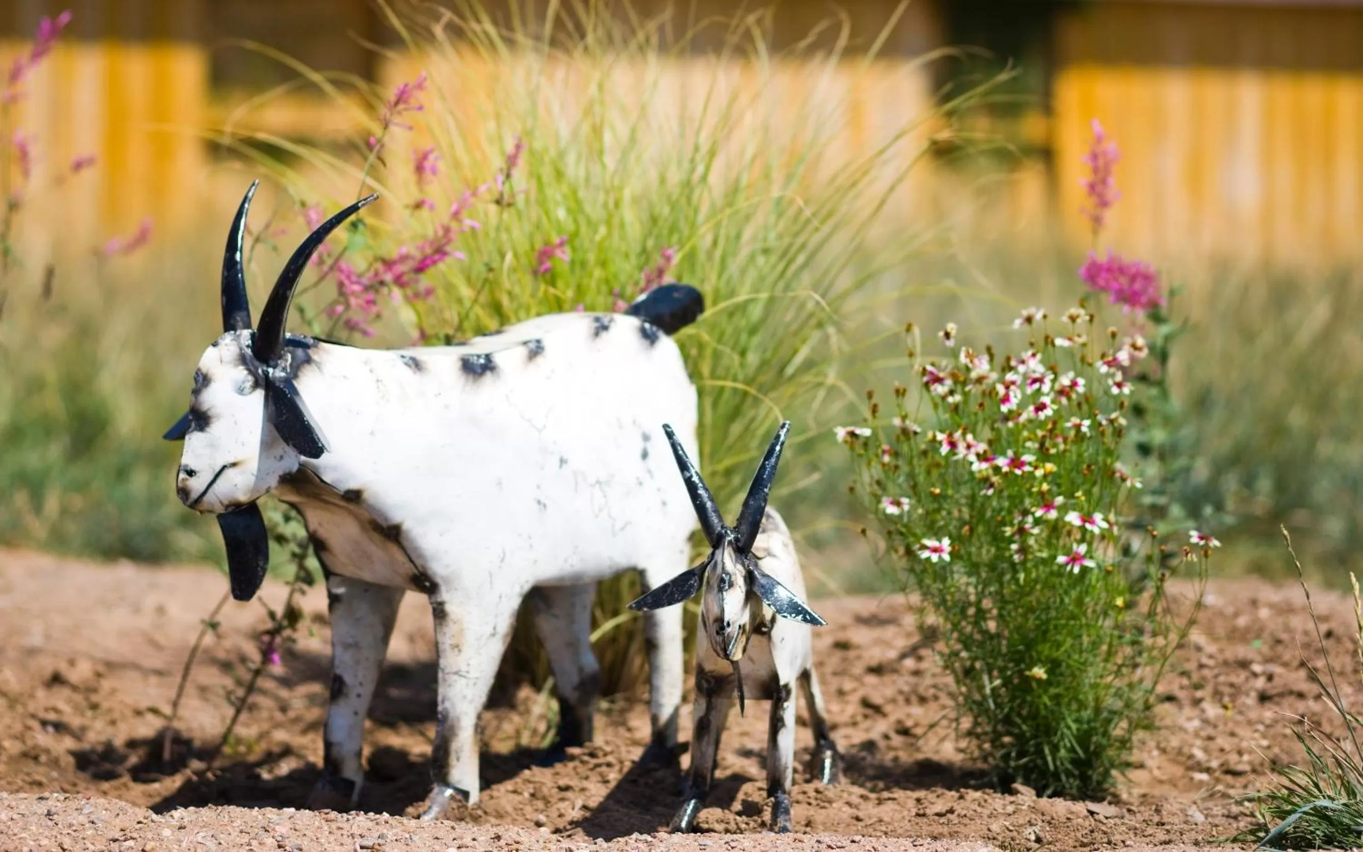 Sunset Motel Moriarty