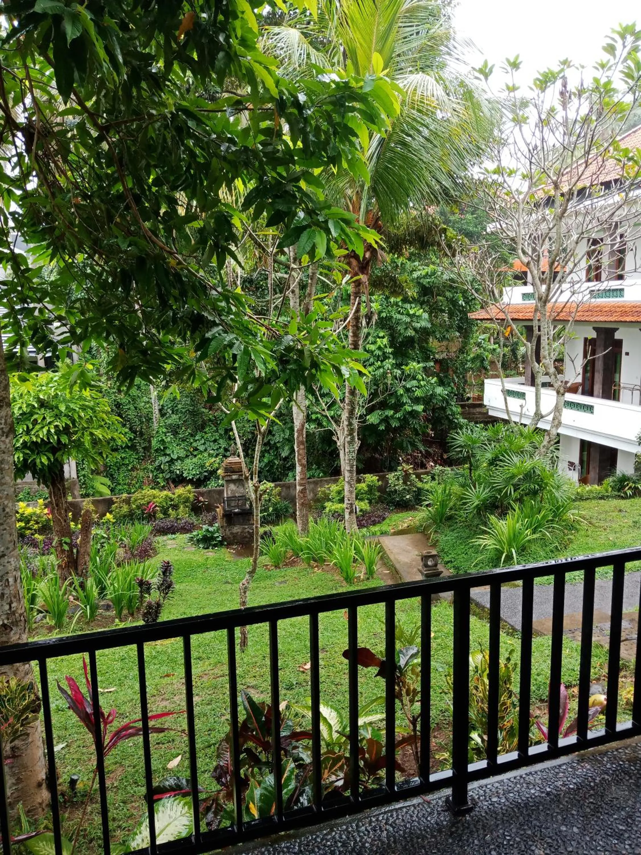 Garden in Argasoka Bungalows