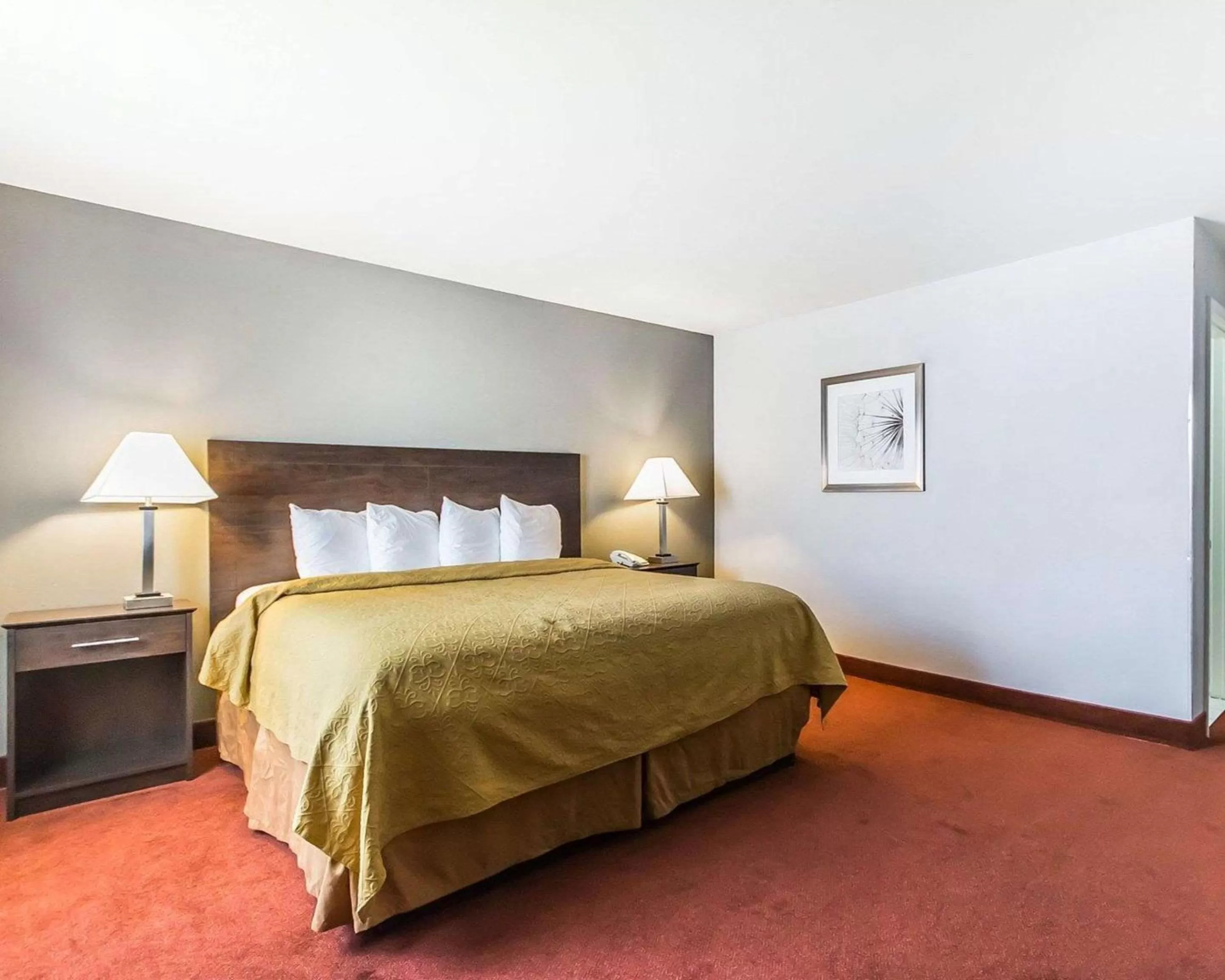 Photo of the whole room, Bed in Quality Inn & Suites University-Airport