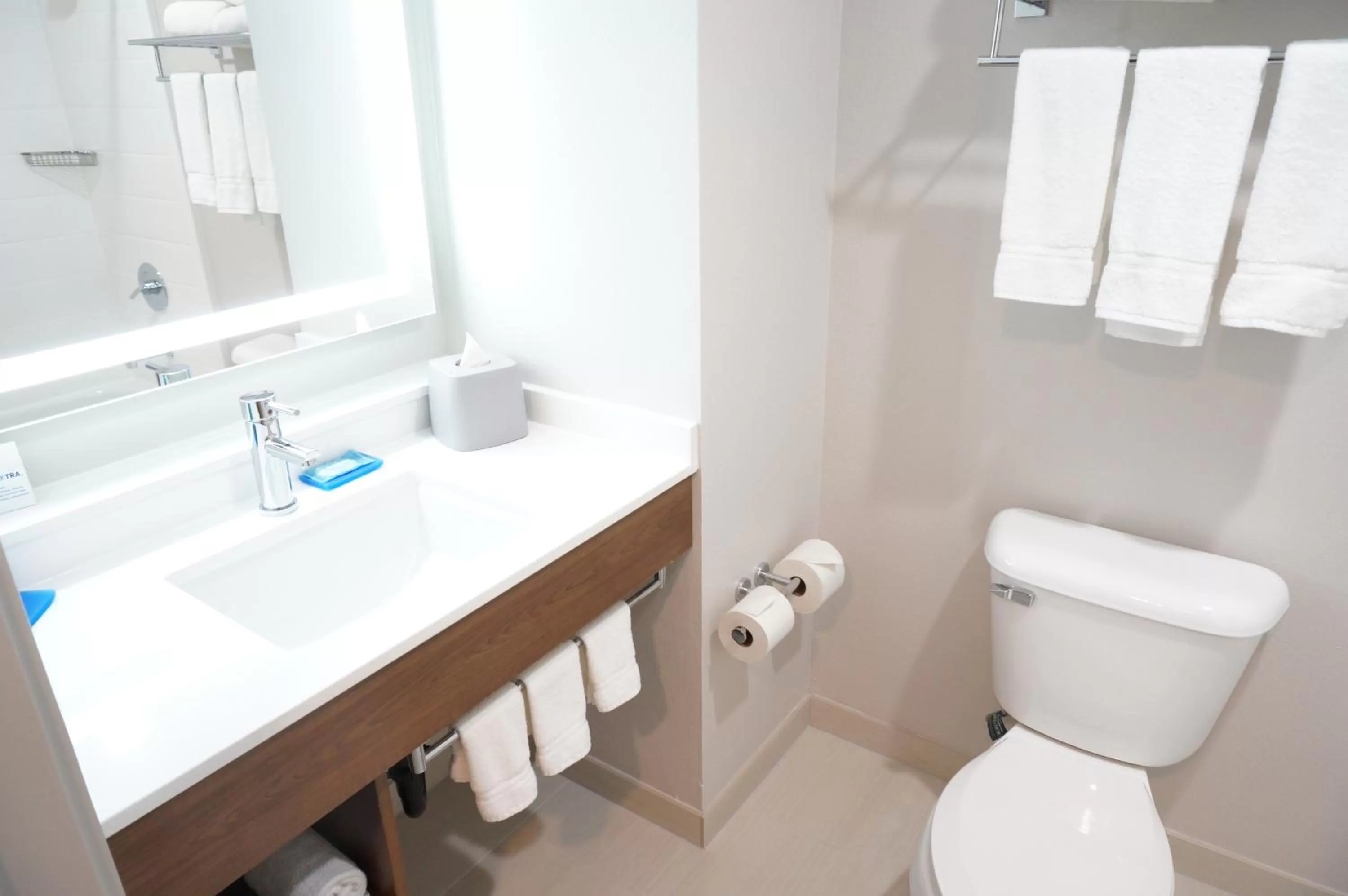 Toilet in Holiday Inn Express Fremont - Milpitas Central by IHG
