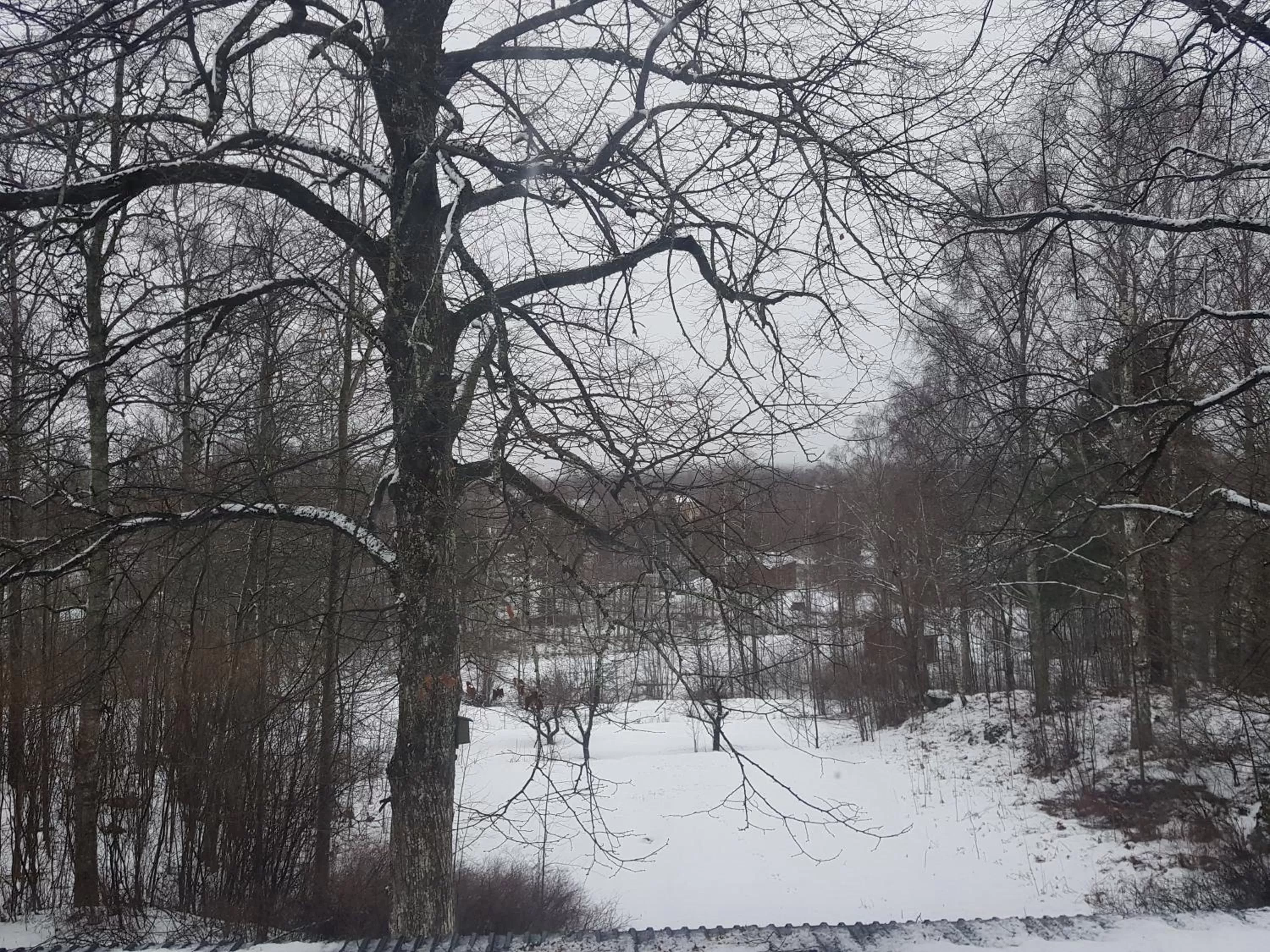 Winter in Brukshotellet Skinnsberg