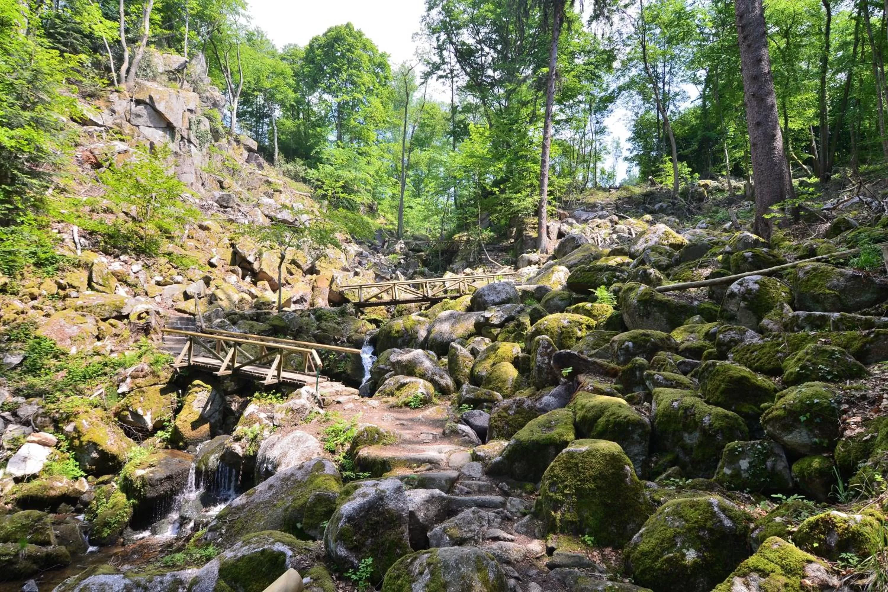 Hiking, Natural Landscape in RelaxHotel Tannenhof