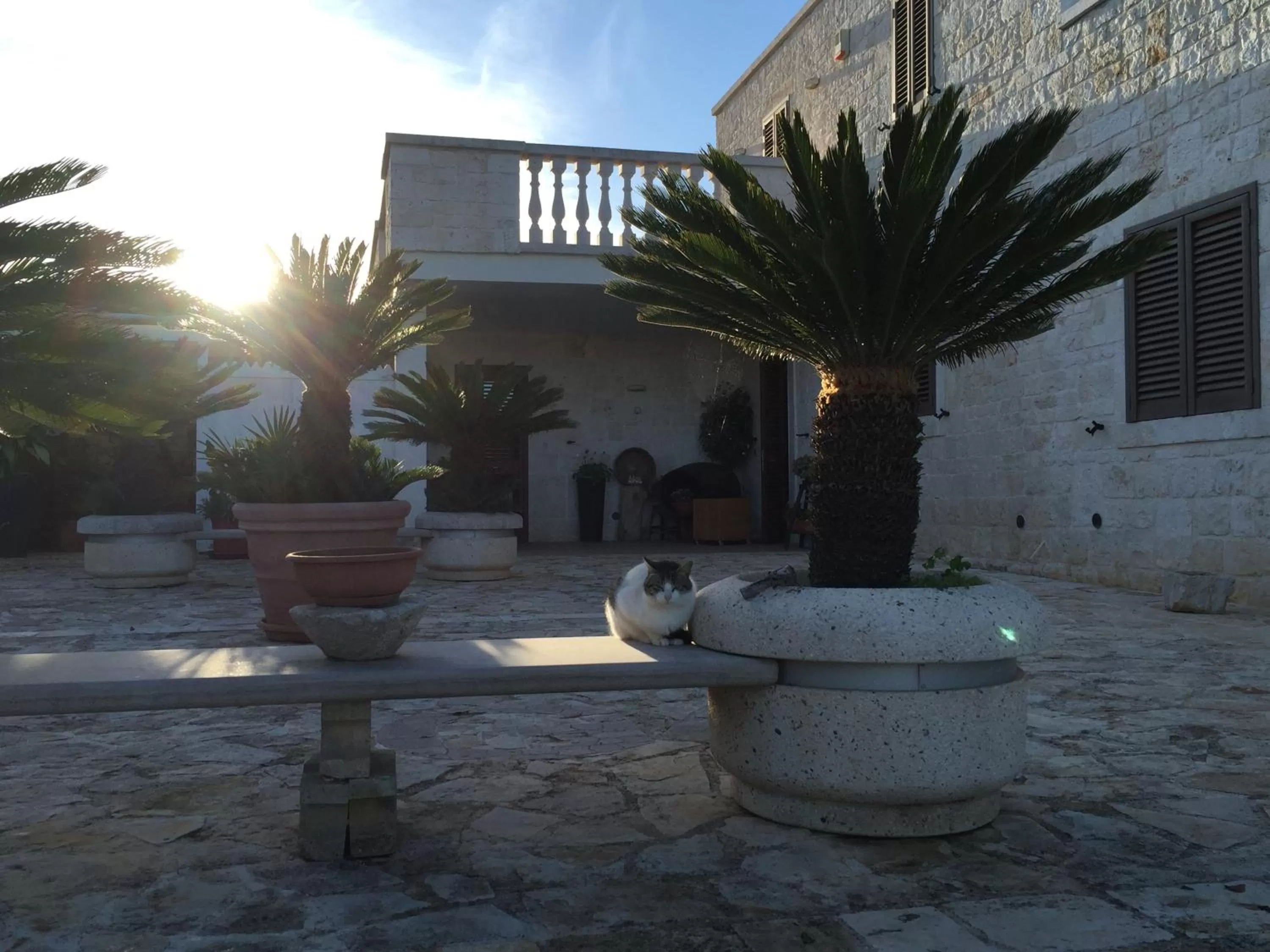 Area and facilities in B&B Villa Grassi