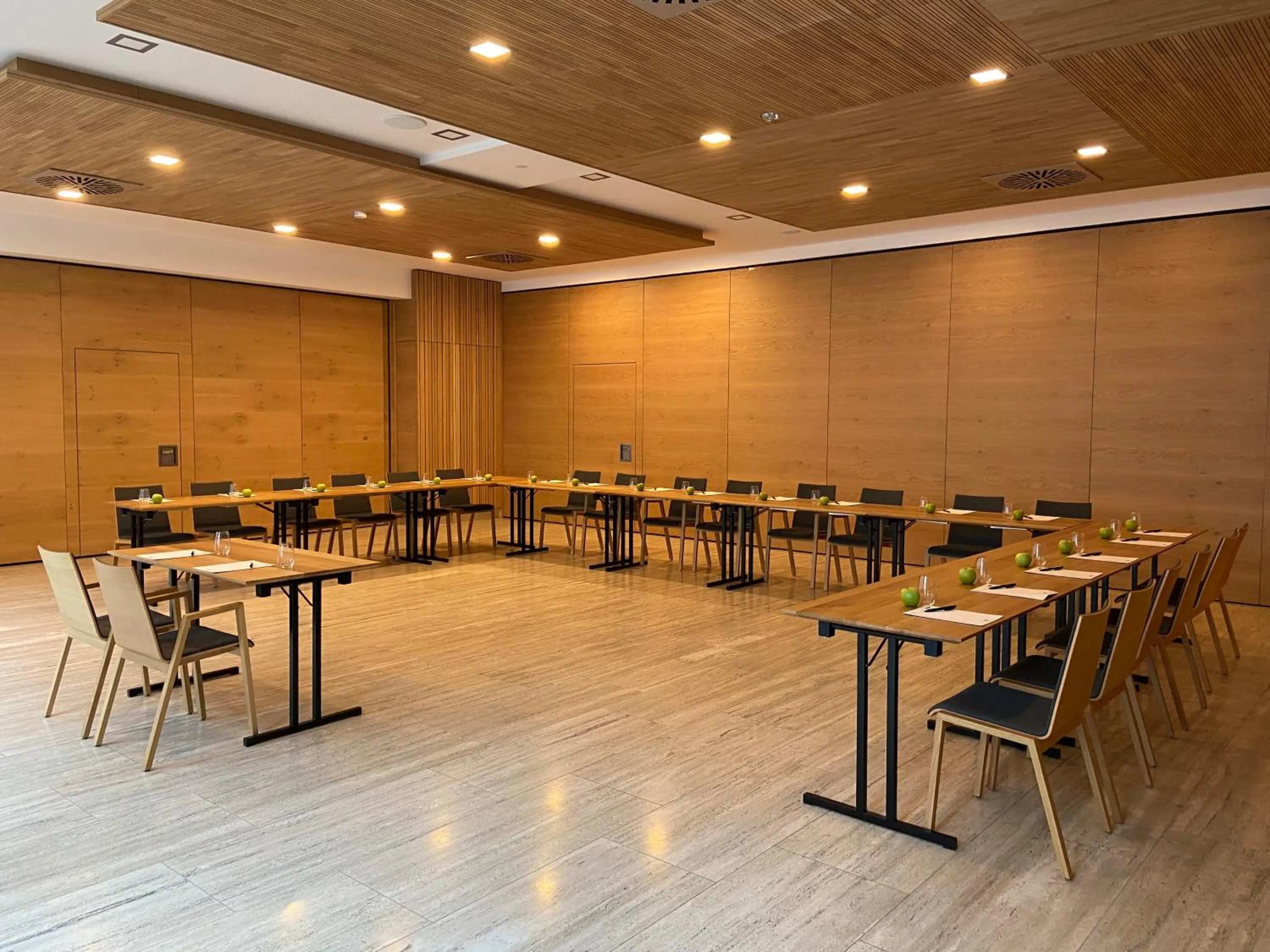 Meeting/conference room in Hotel Zur Schönen Aussicht