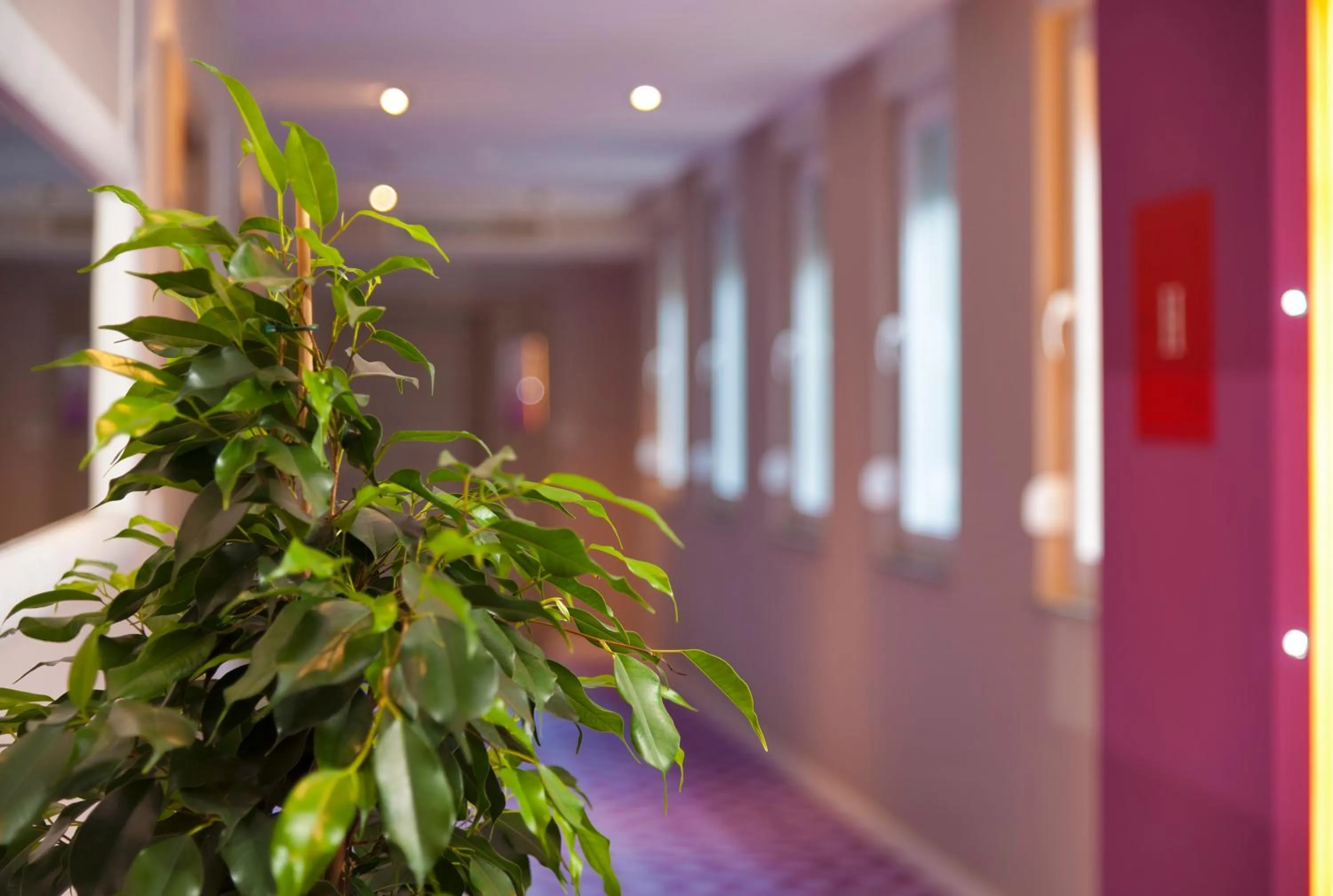 Decorative detail in Hotel Eden