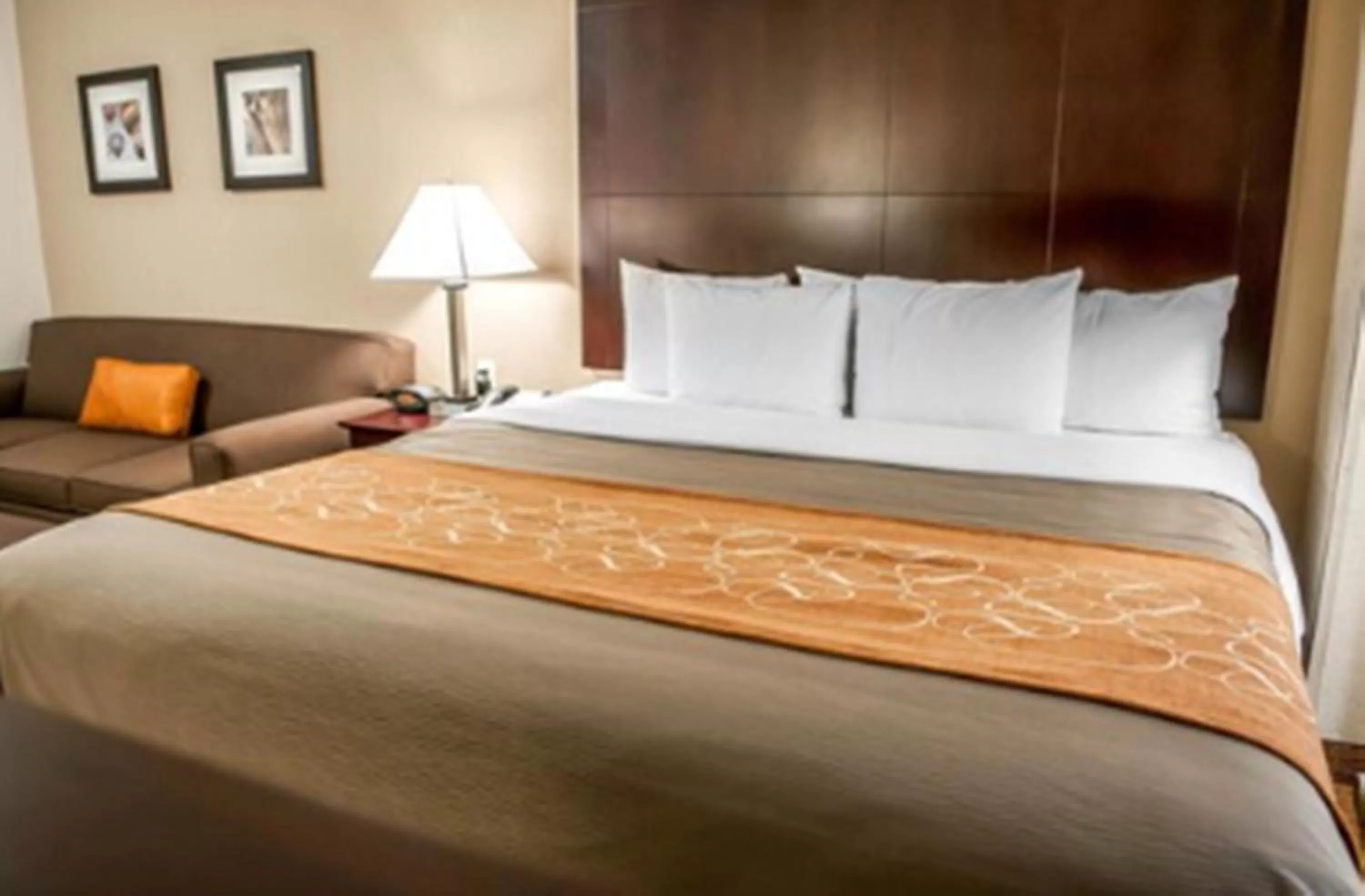 Bed in Comfort Suites Albuquerque-North Journal Center