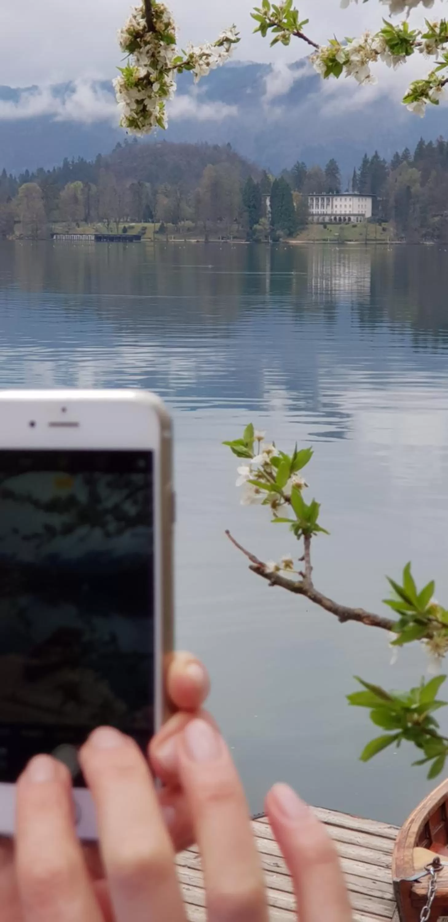 Area and facilities in Hotel GH Kolinska