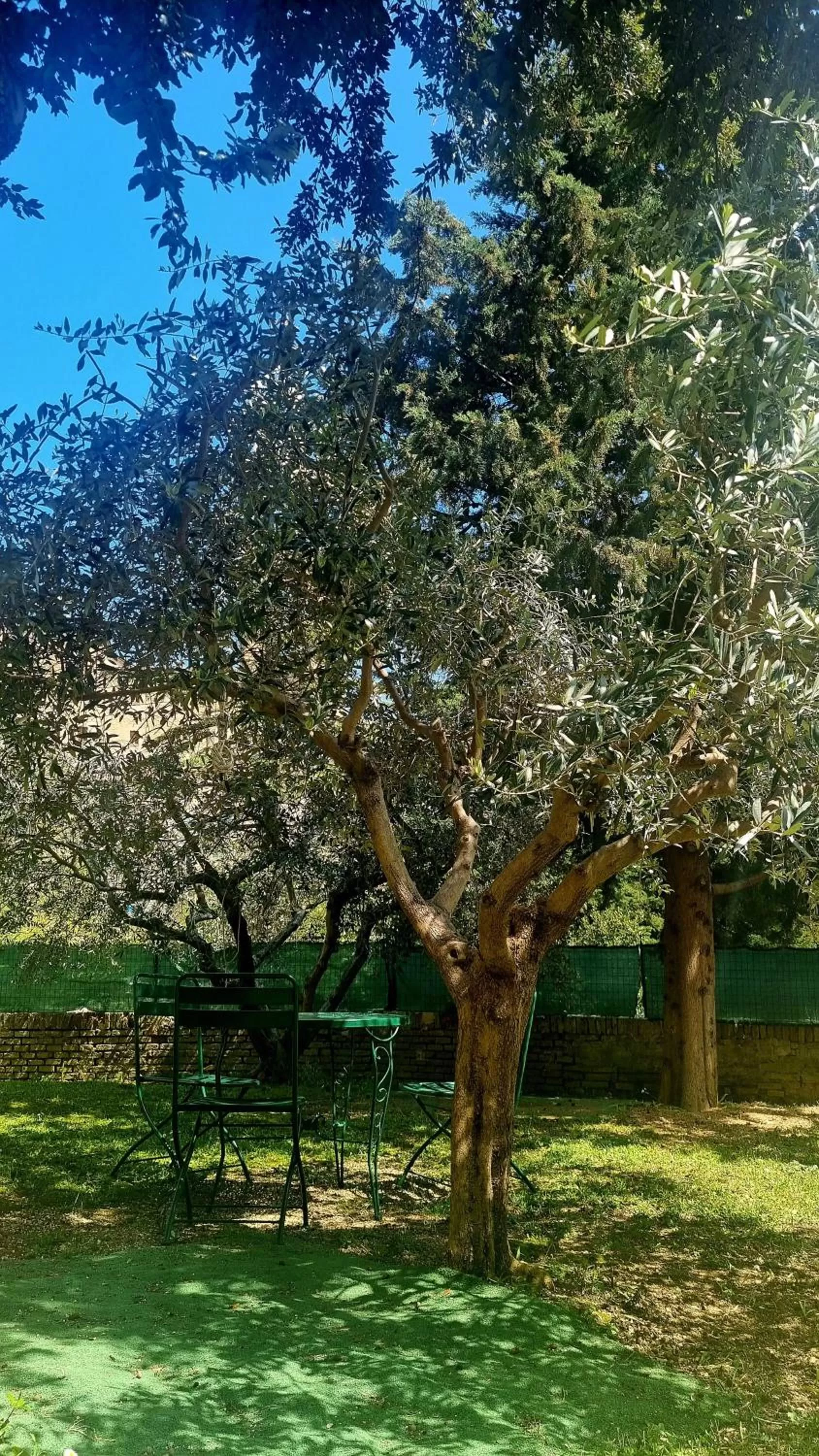 Garden view, Garden in Fontecorona Bed and Breakfast