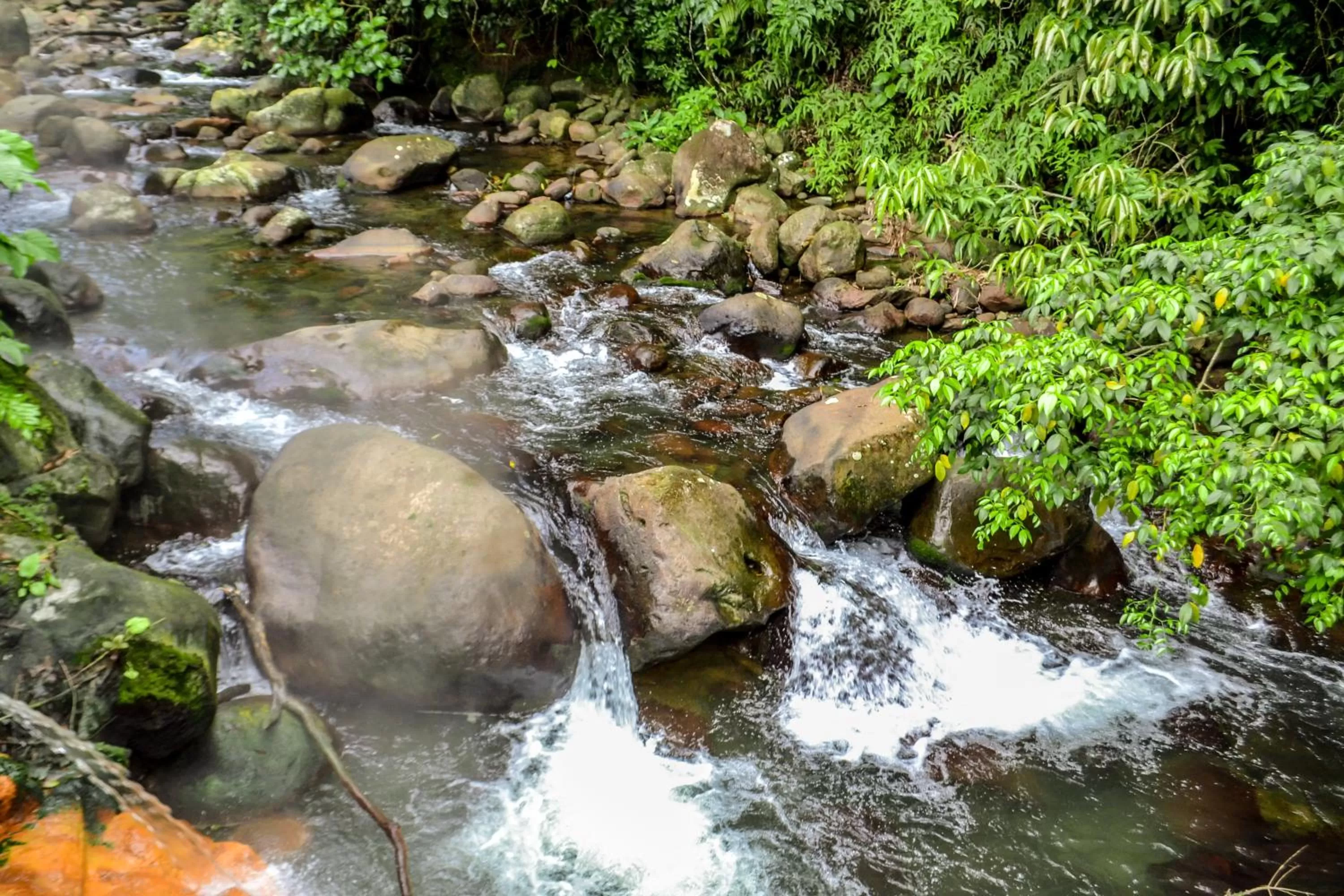 Area and facilities in El Tucano Resort & Thermal Spa