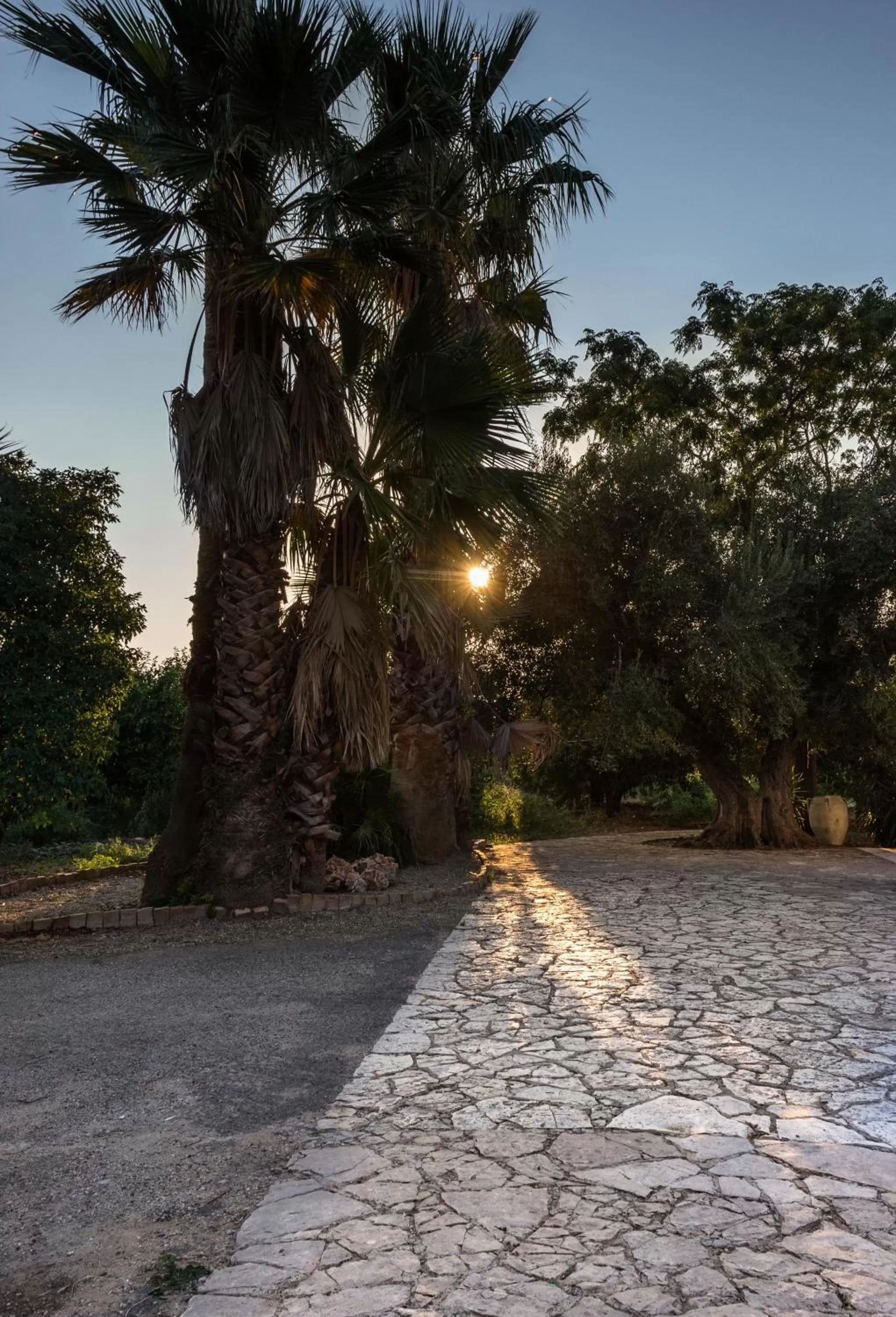 Sunrise/Sunset in Casa Alice