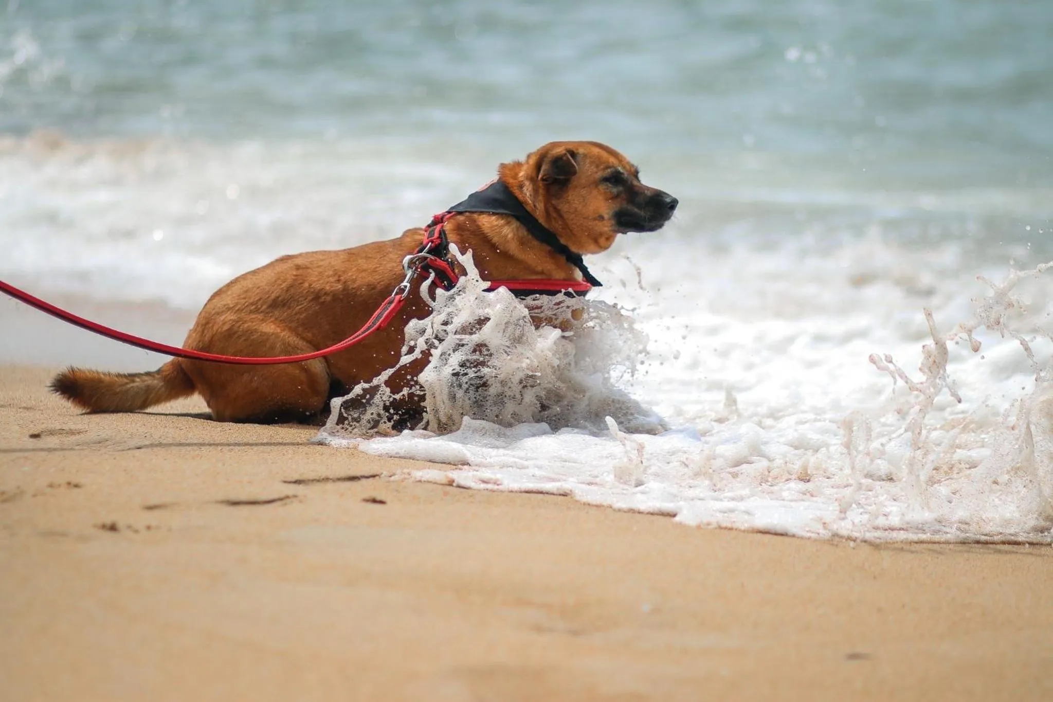 Staff in Ideo Phuket Hotel - Naiyang Beach