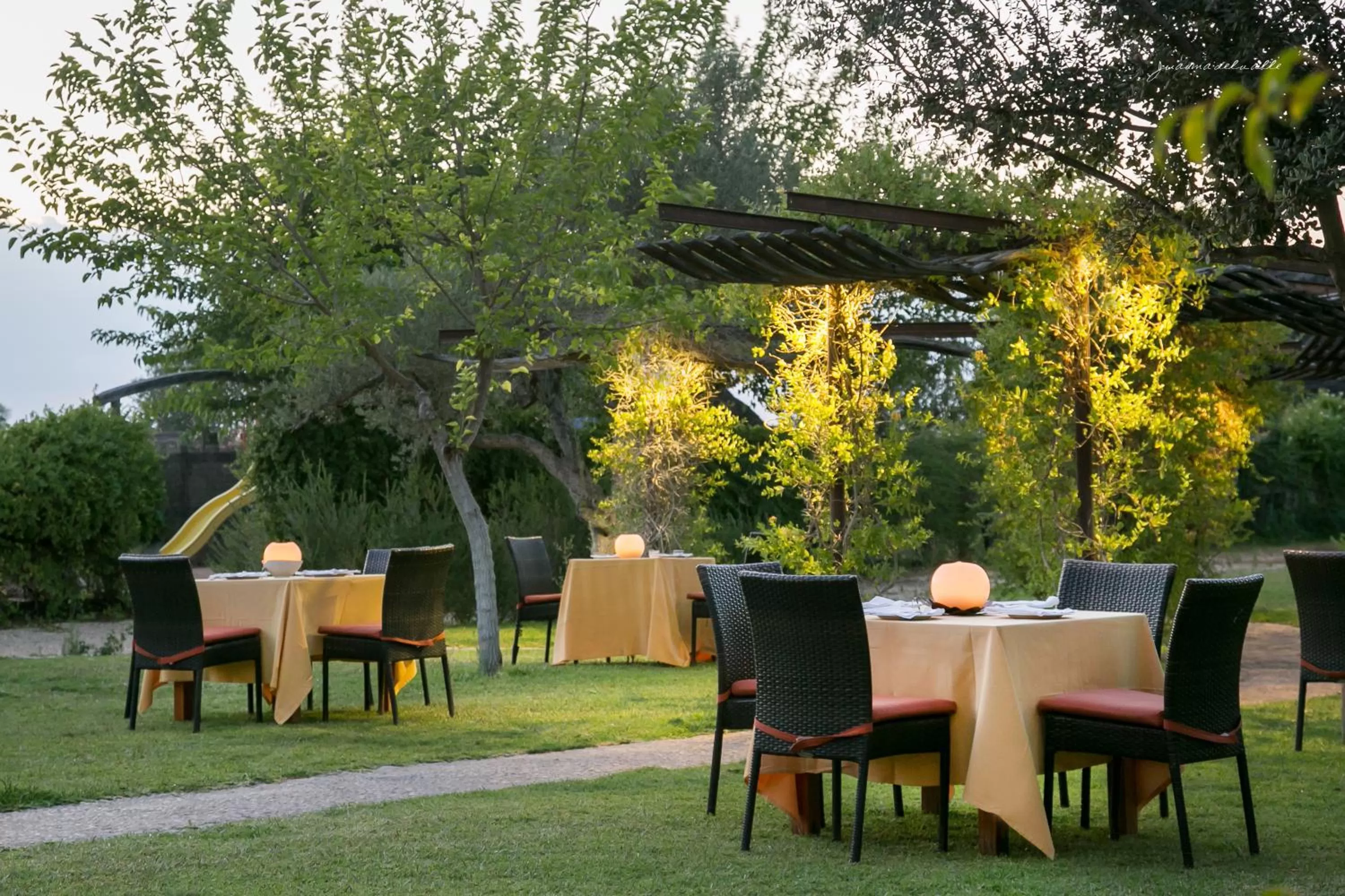 Restaurant/places to eat in Ardea Purpurea