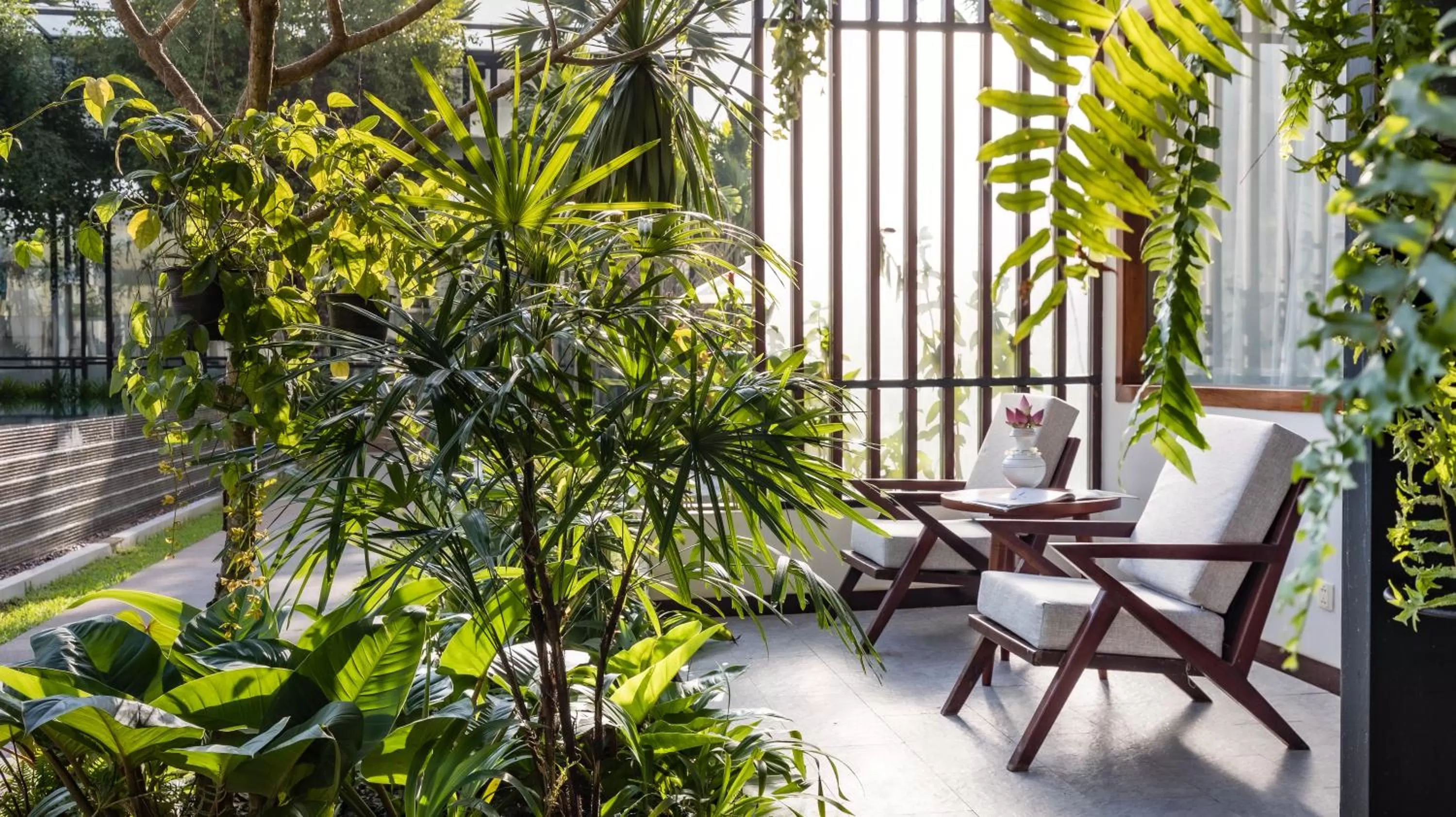 Patio in Shintana Saya La Maison