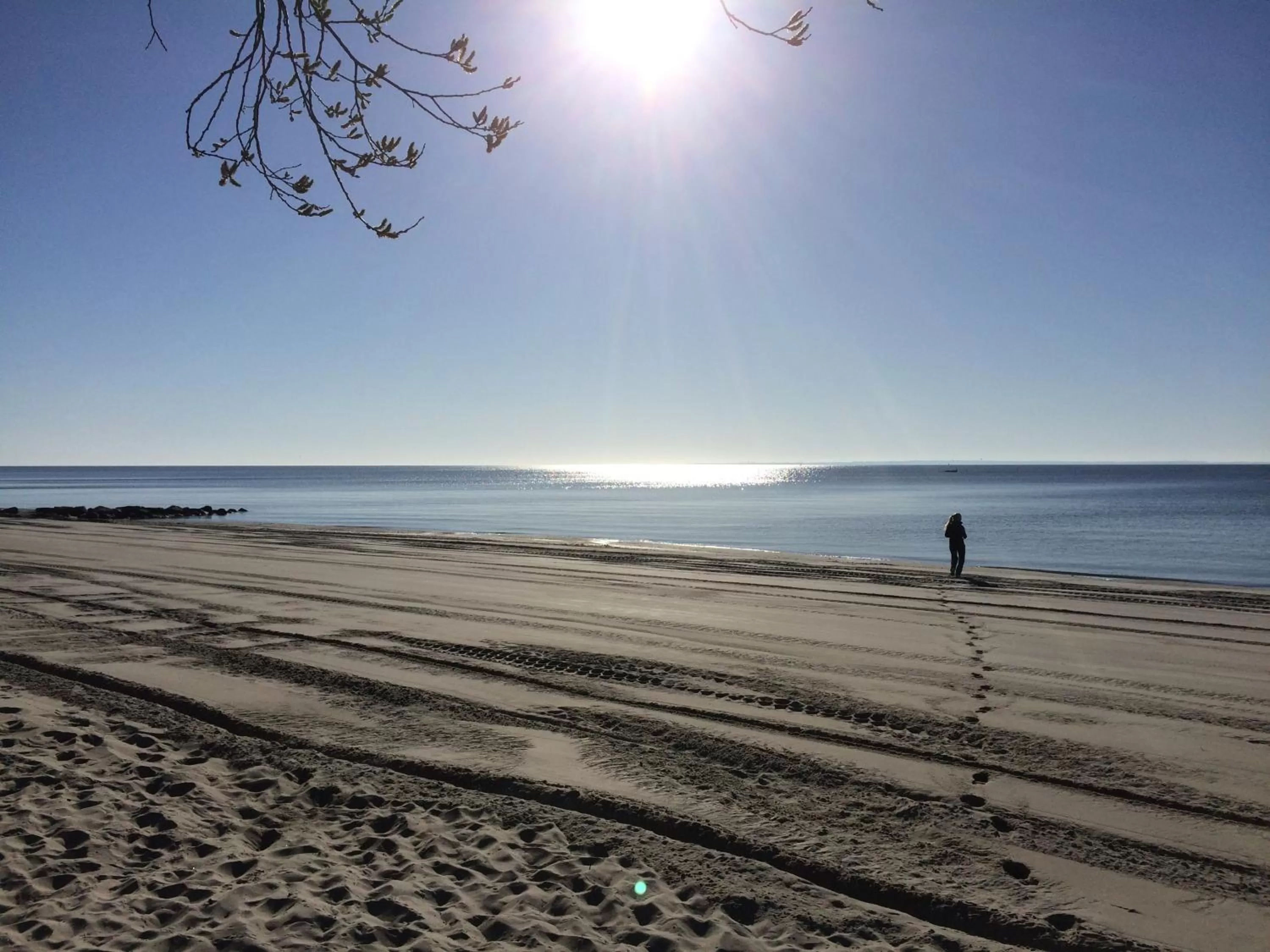 Day in Petersen's Landhaus