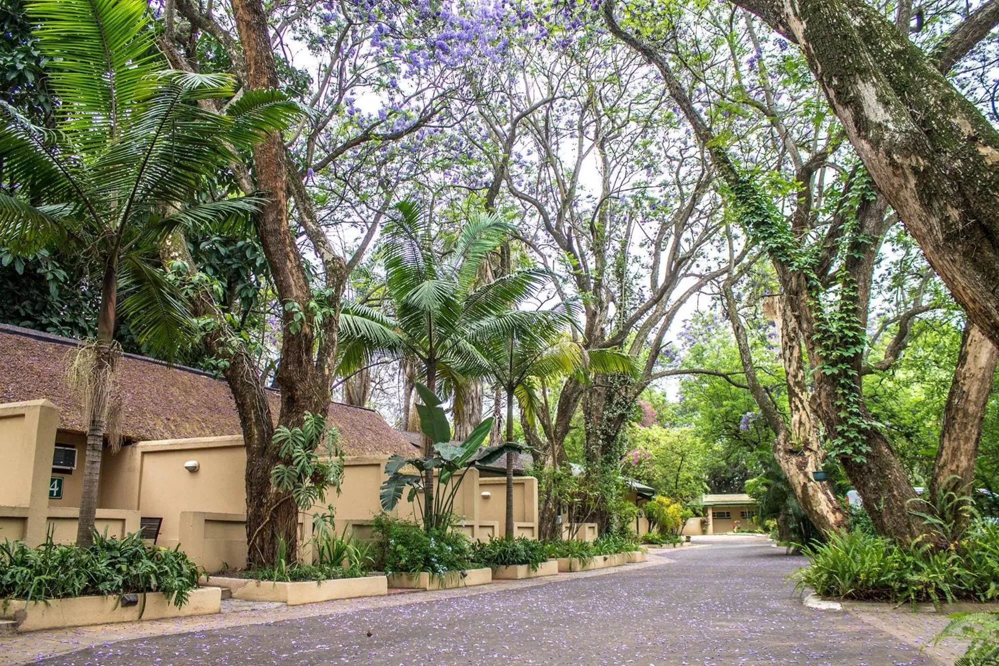 Garden in Hotel Numbi & Garden Suites