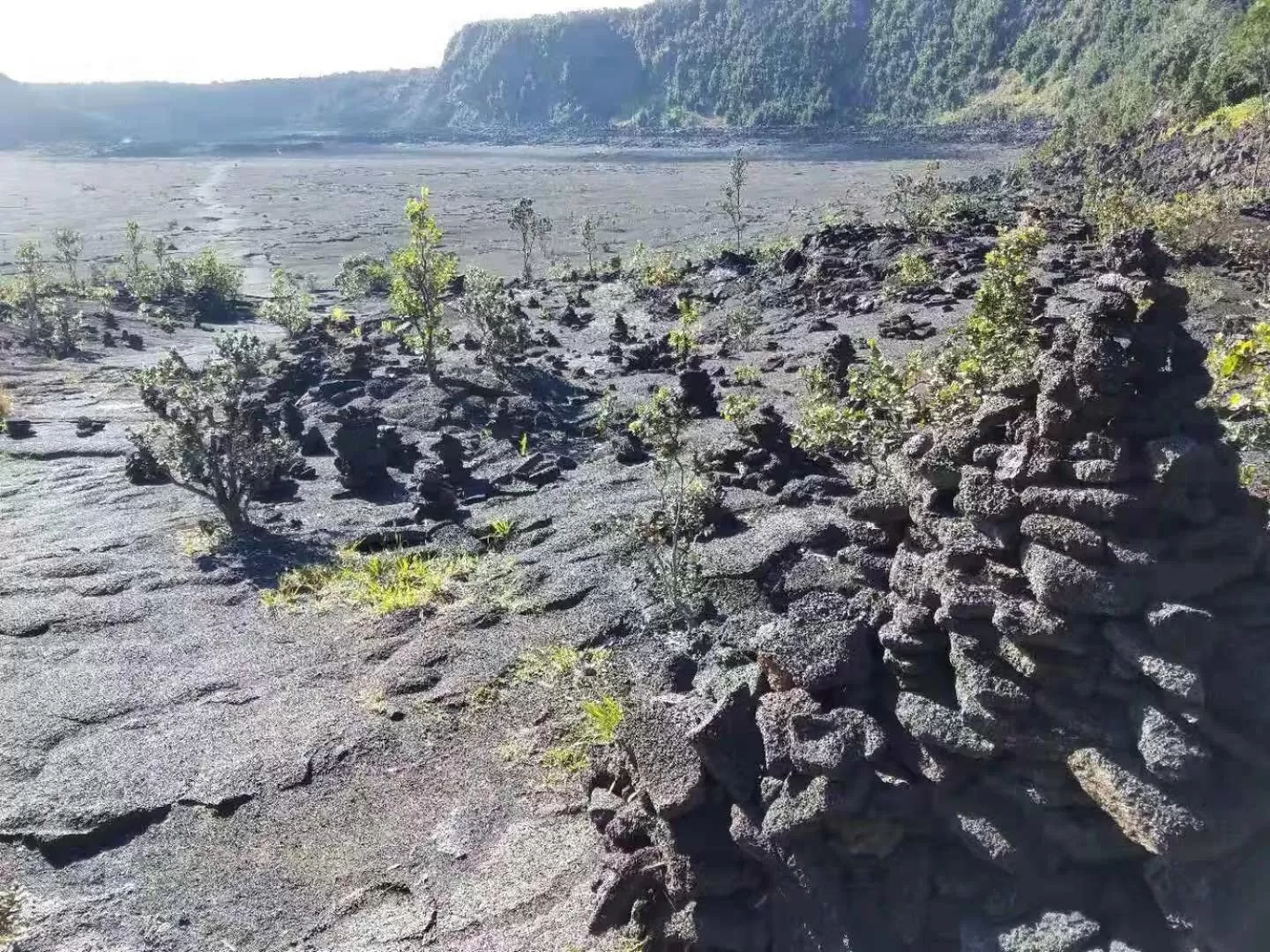 Hiking in Volcano Forest Inn