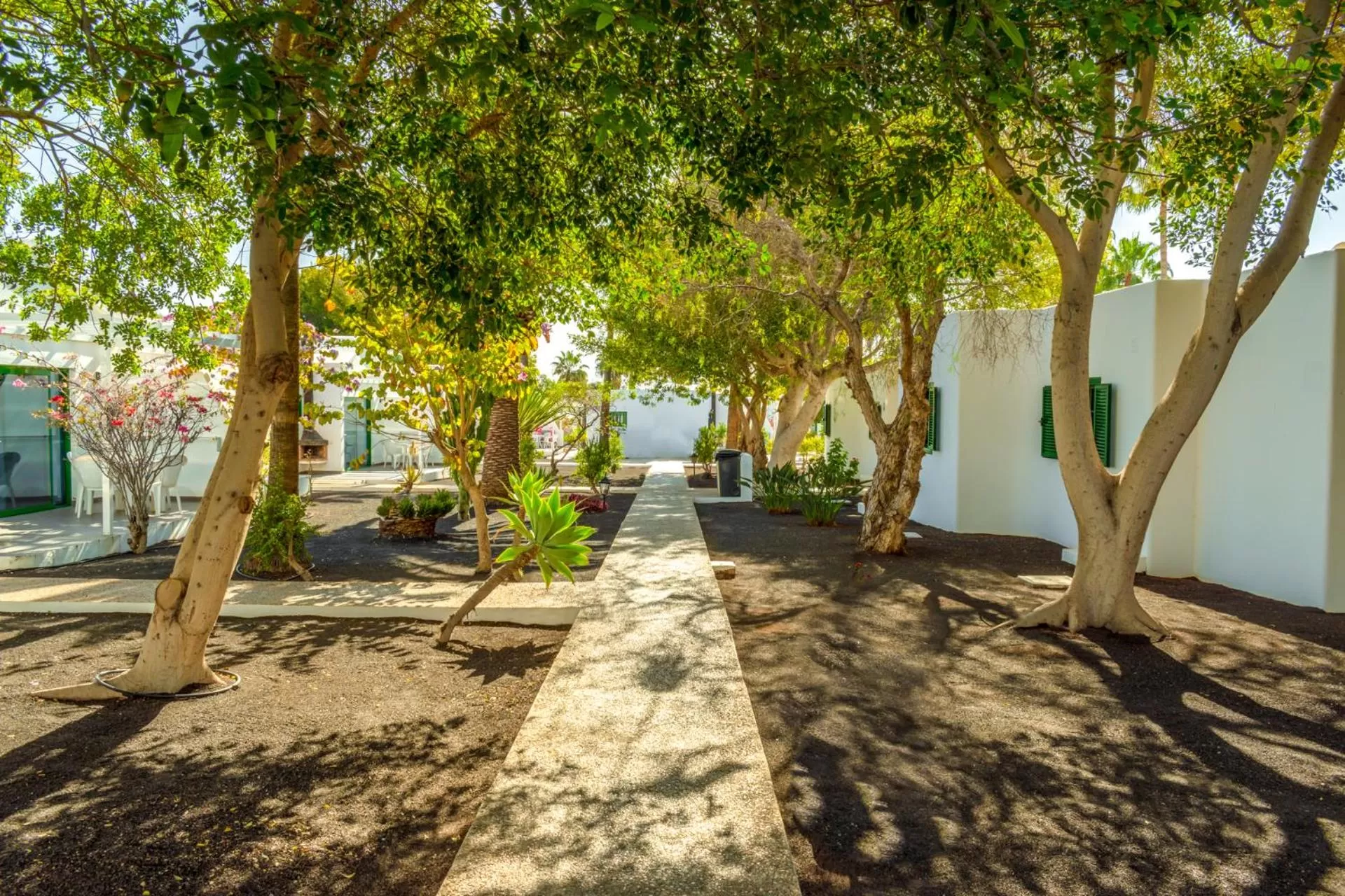 Balcony/Terrace in Hyde Park Lane