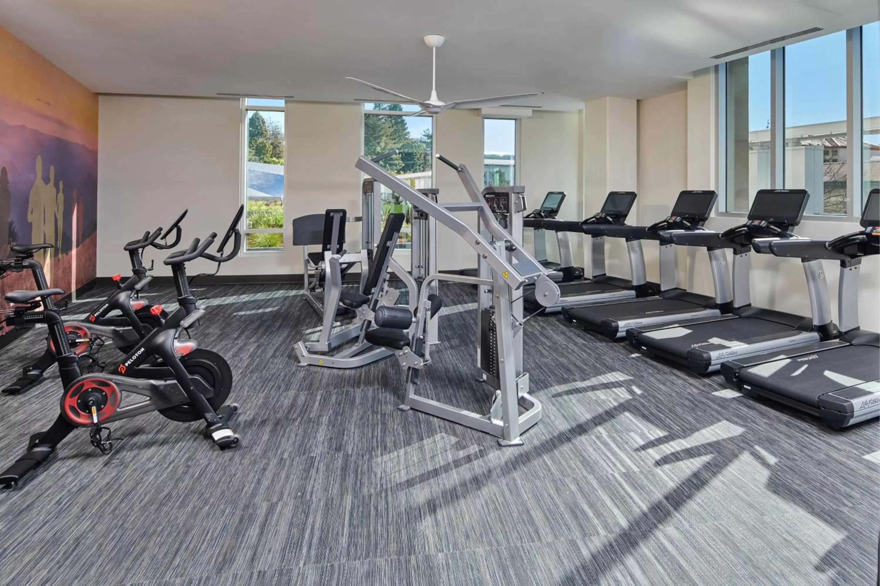 Fitness centre/facilities in Residence Inn By Marriott Berkeley