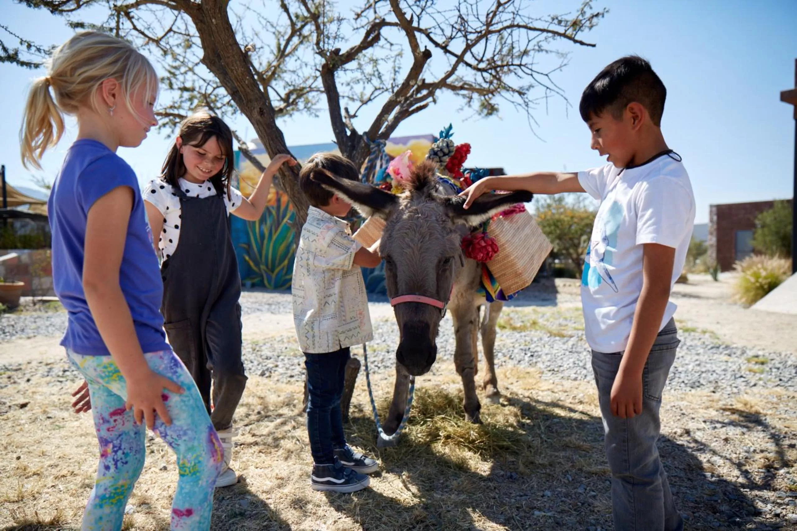 Children play ground in Casa Pavo Real en el Viñedo El Pavo Real del Campo