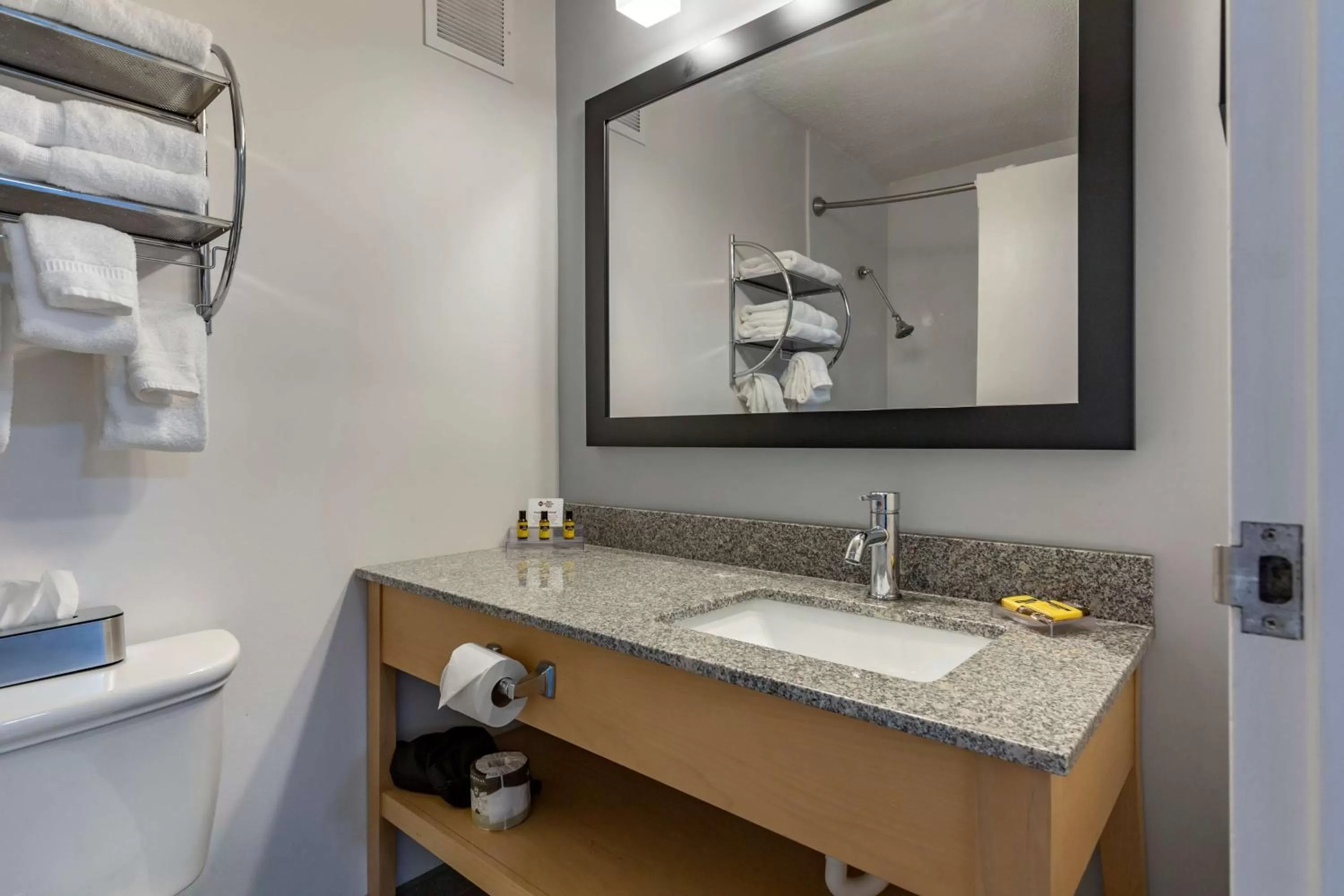 Bathroom in Best Western Plus University Inn